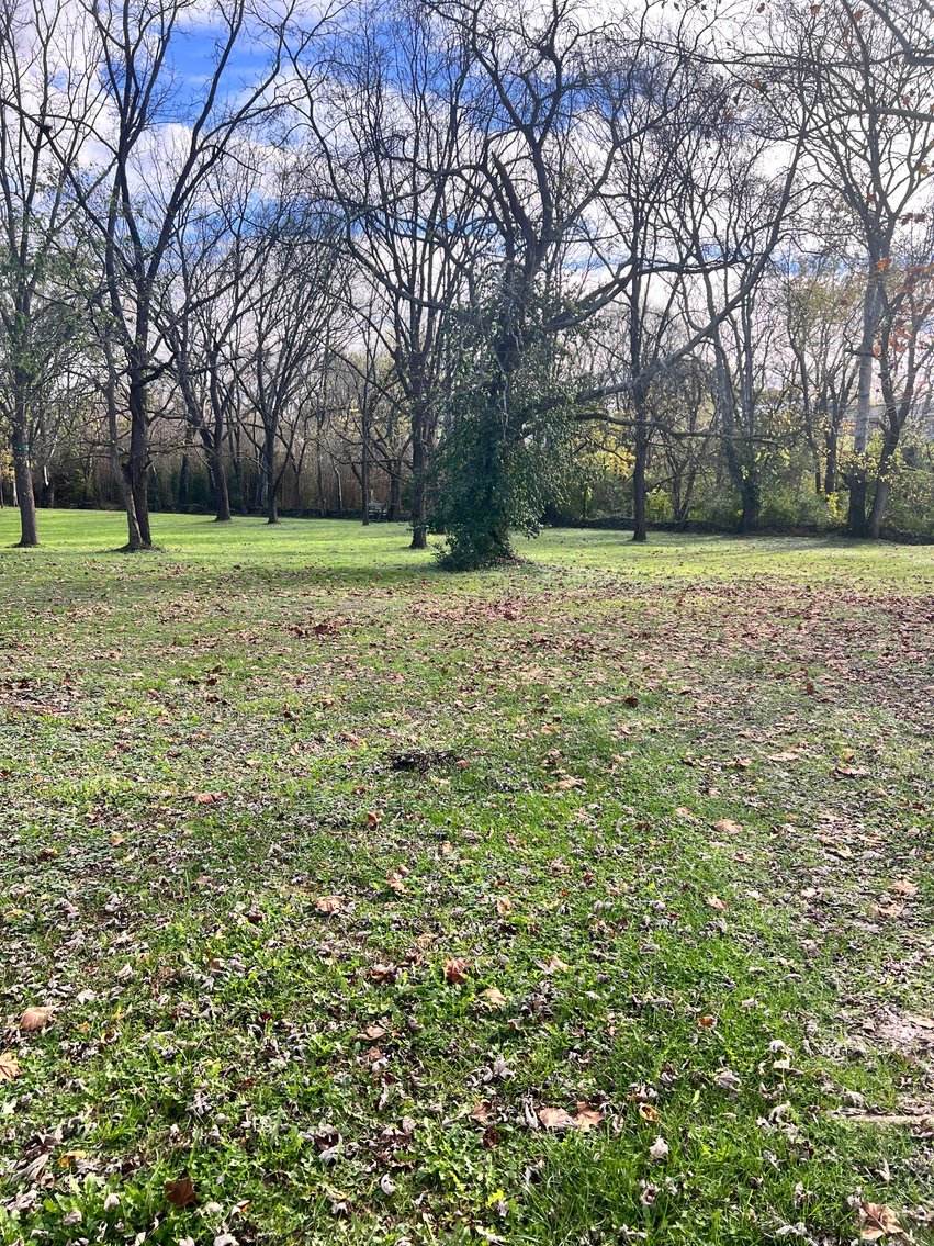 Image for 355 Marrell Street, Gallatin