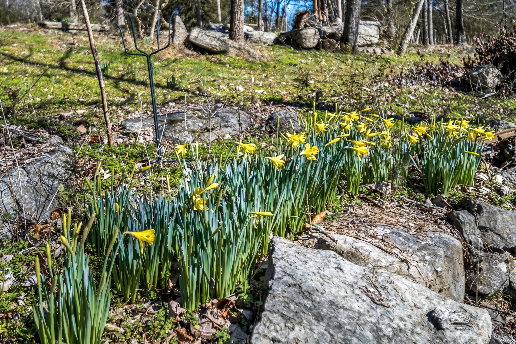 Image for 6927 Hurricane Creek Road, Auburntown