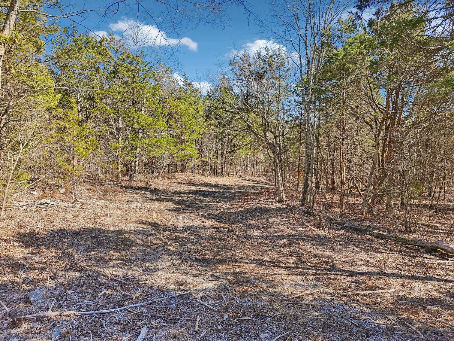 Image for Tracts 1-4 Morgan Road, Rockvale