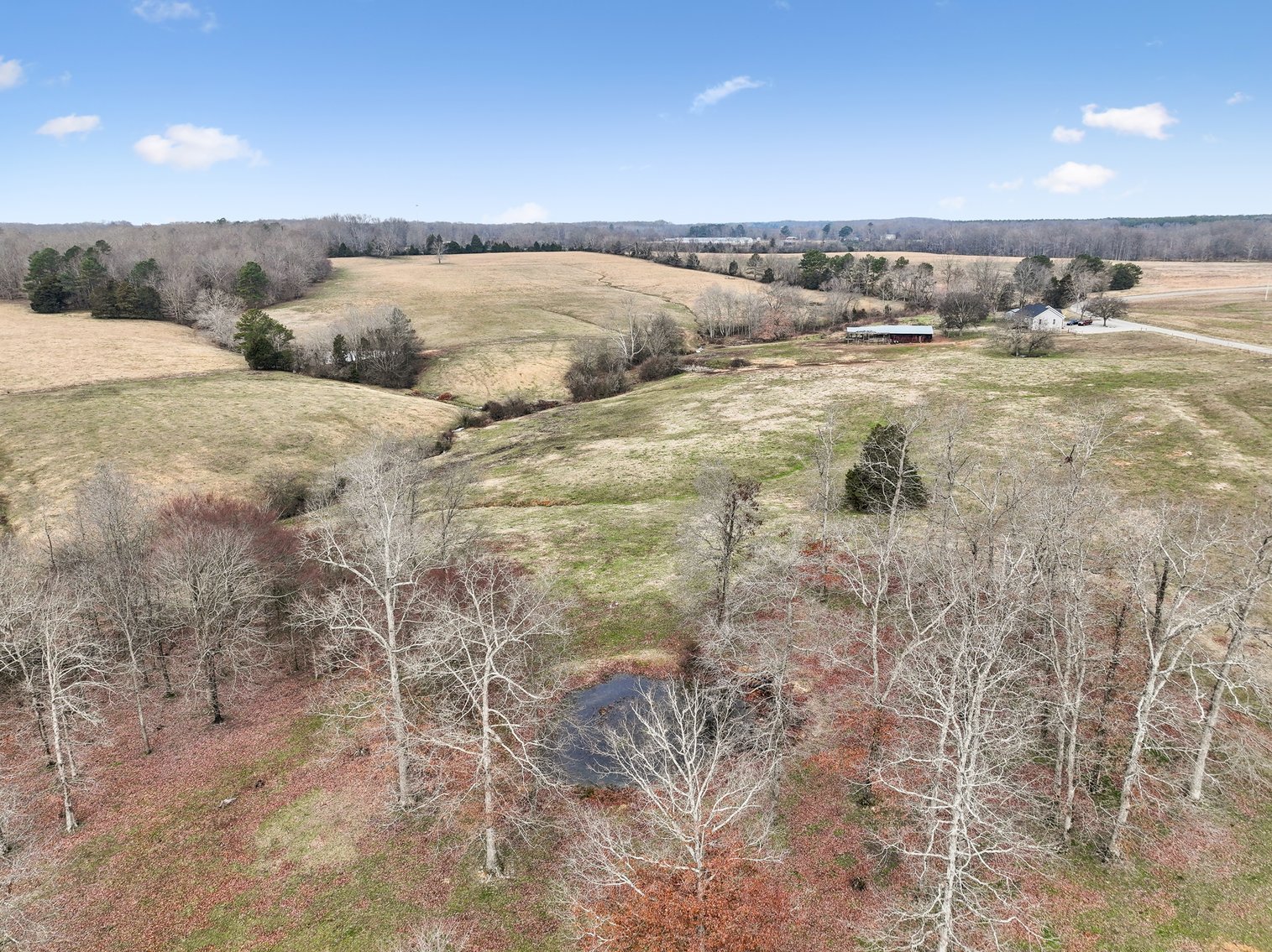 Image for 0 Lee Chapman Road, Pulaski