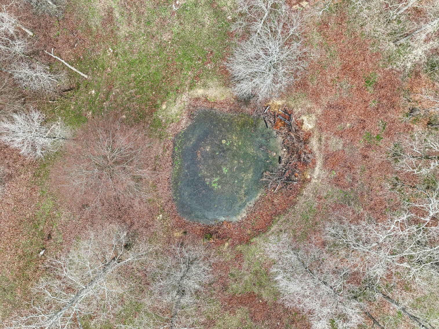 Image for 0 Lee Chapman Road, Pulaski