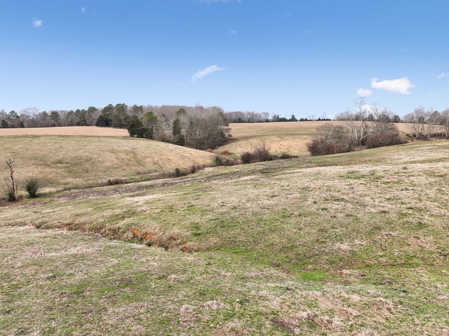 Image for 0 Lee Chapman Road, Pulaski