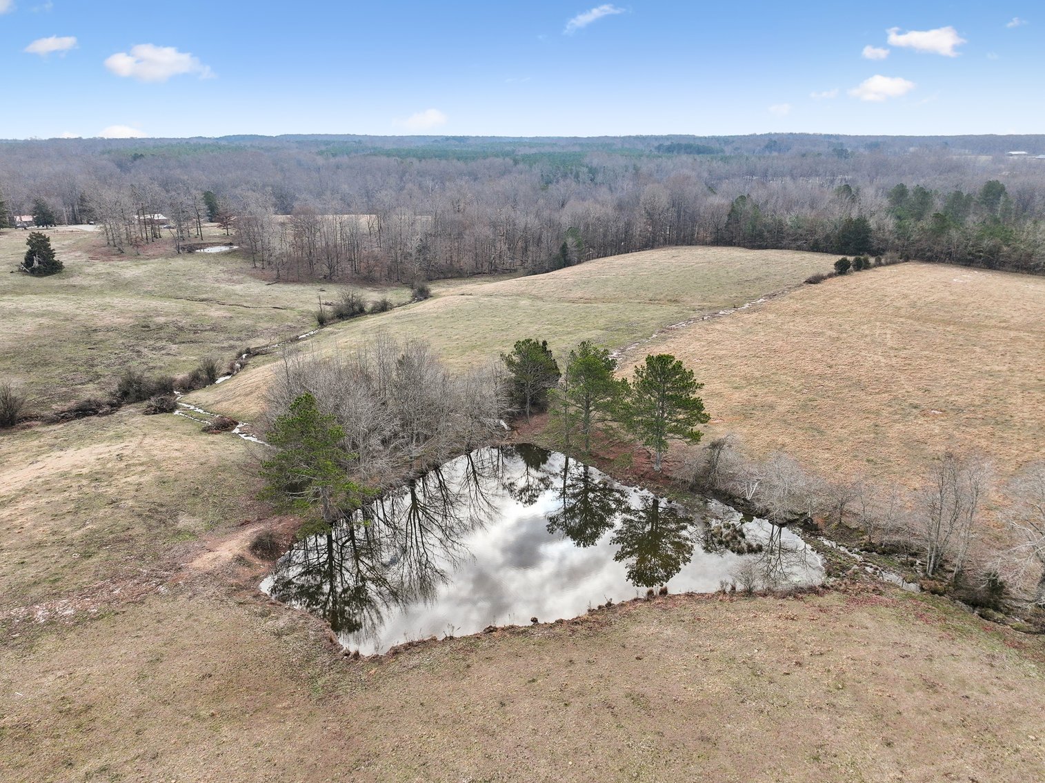 Image for 0 Lee Chapman Road, Pulaski