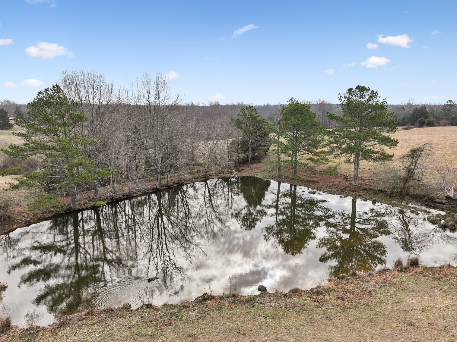 Image for 0 Lee Chapman Road, Pulaski