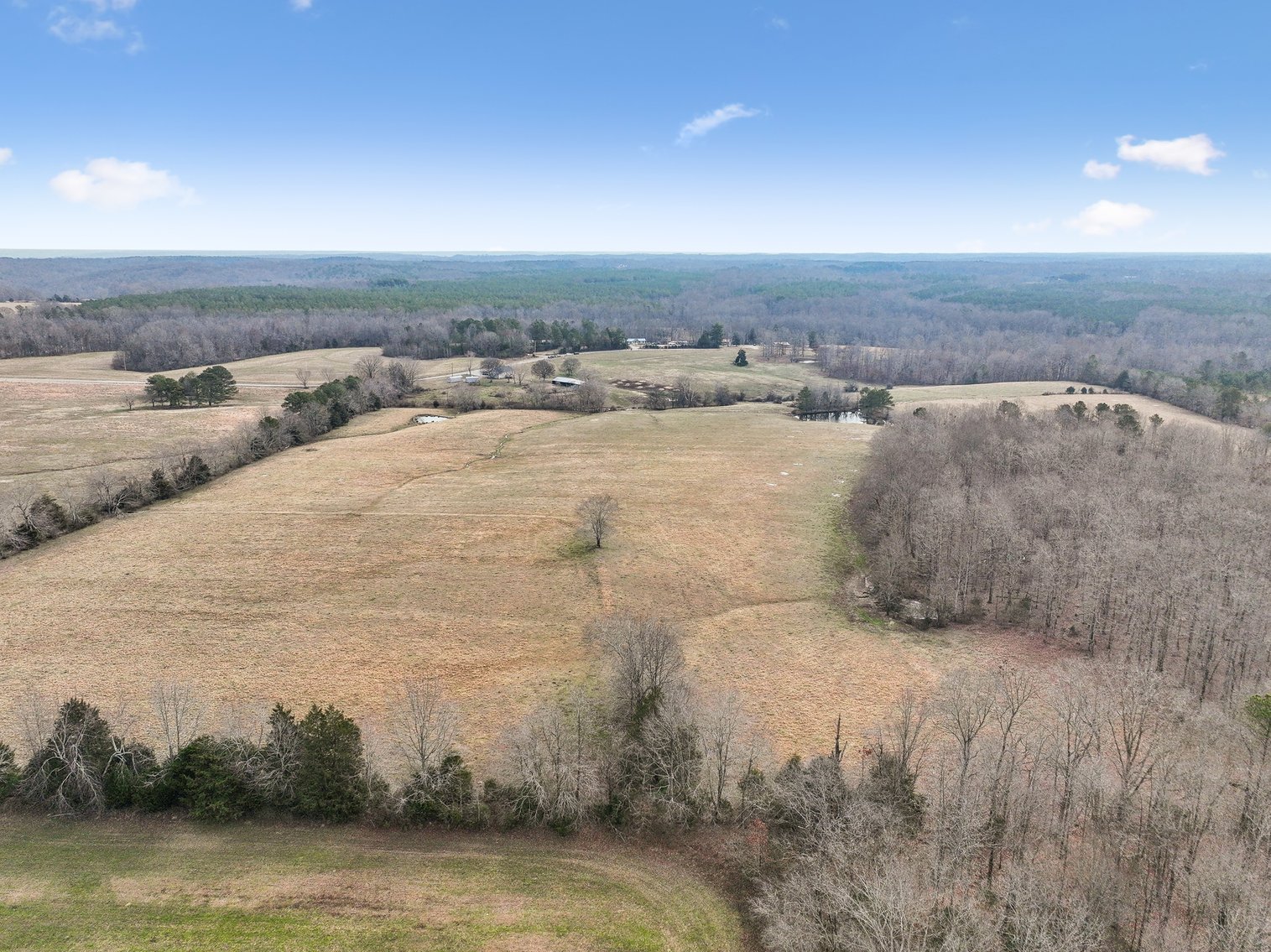 Image for 0 Lee Chapman Road, Pulaski