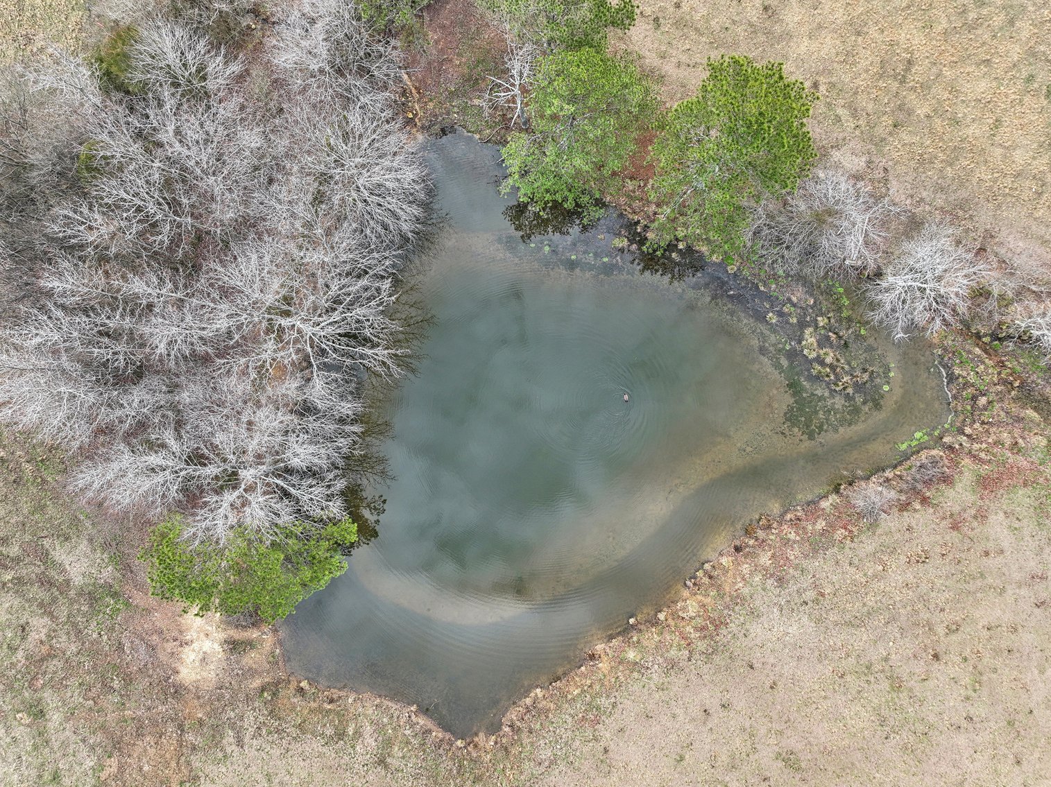 Image for 0 Lee Chapman Road, Pulaski