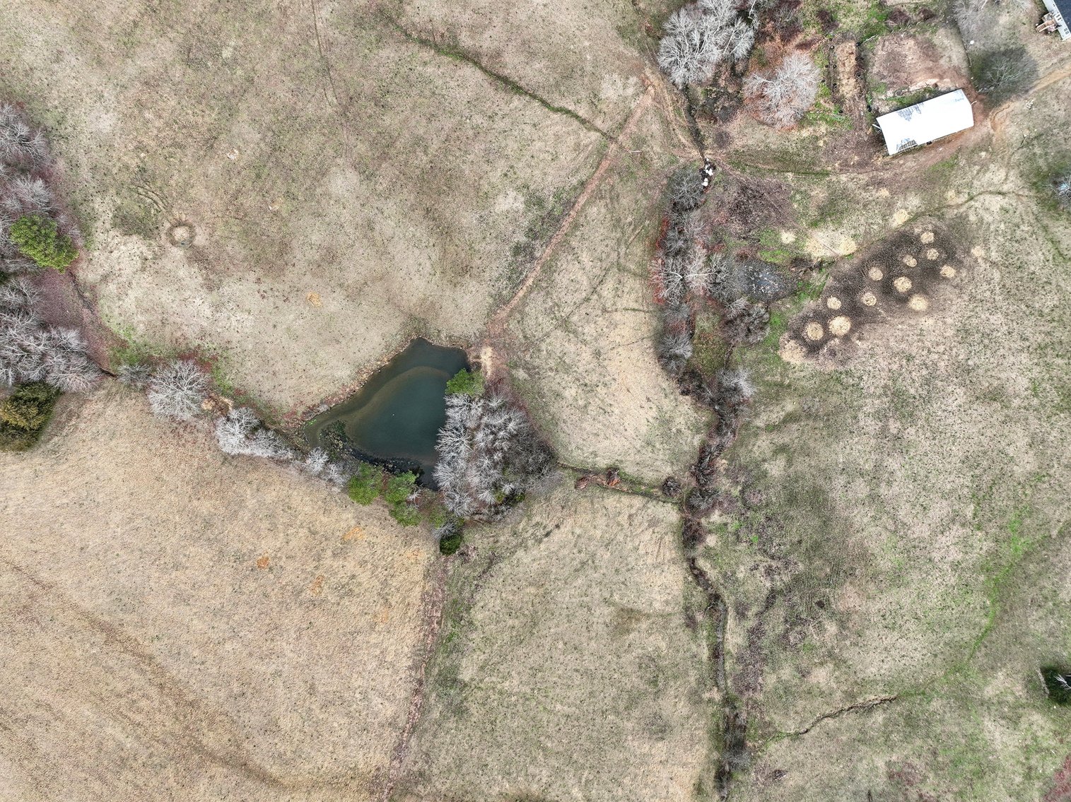 Image for 0 Lee Chapman Road, Pulaski