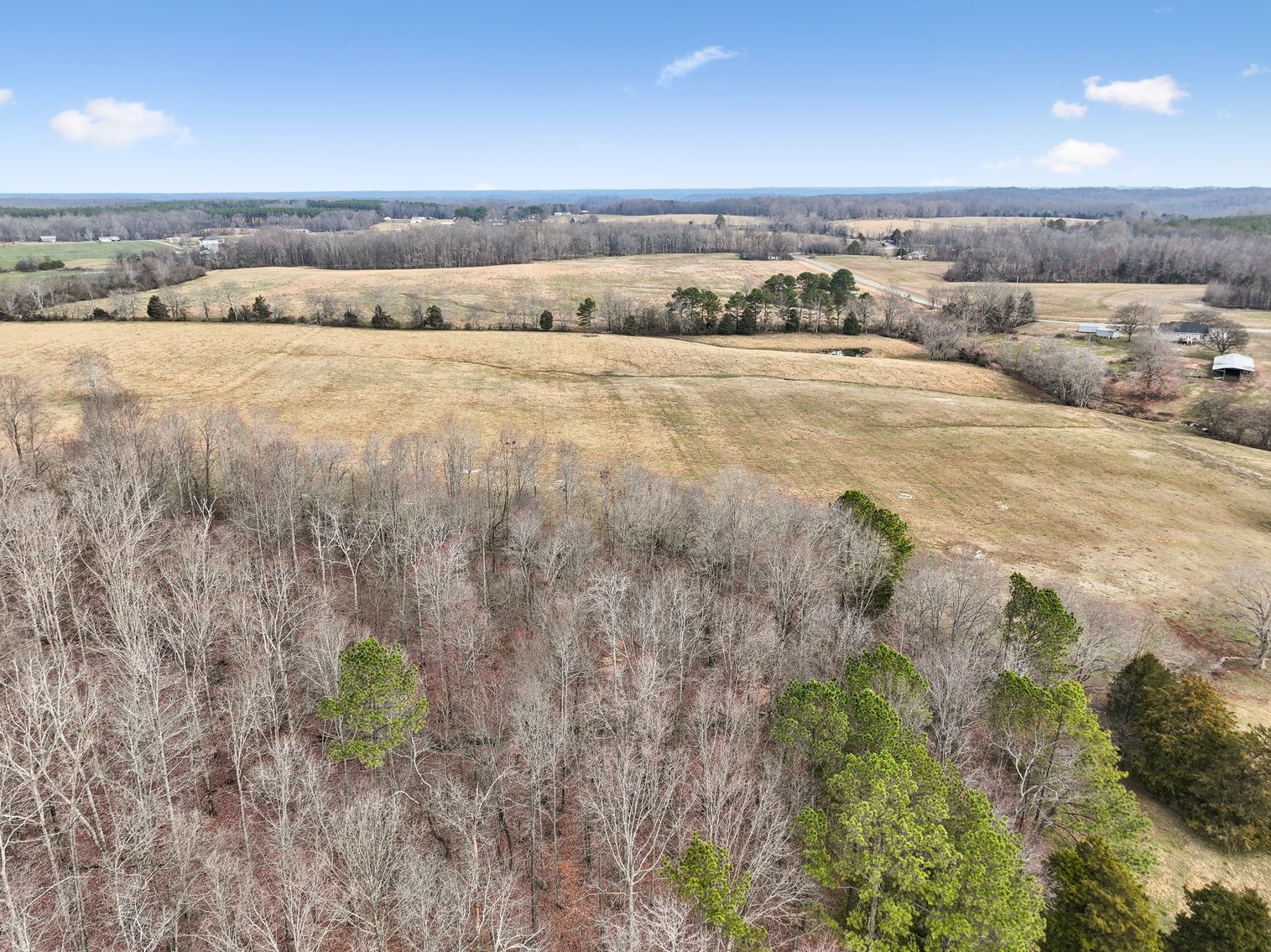 Image for 0 Lee Chapman Road, Pulaski