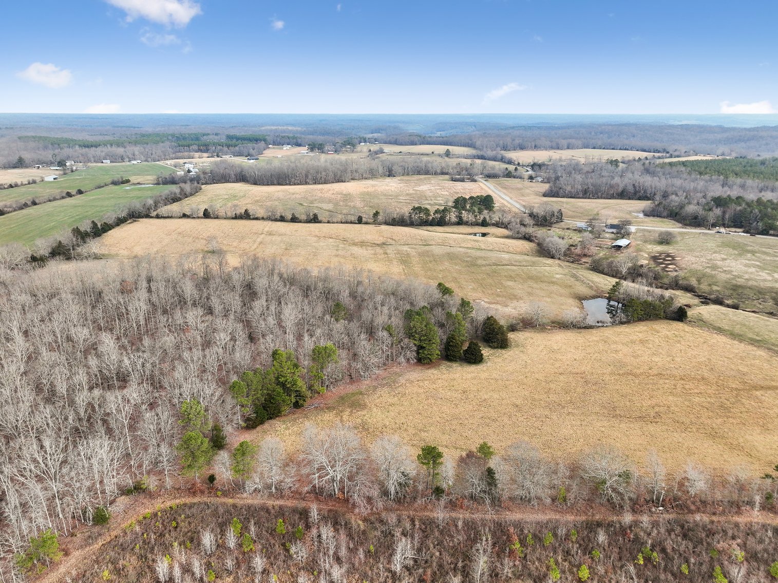 Image for 0 Lee Chapman Road, Pulaski