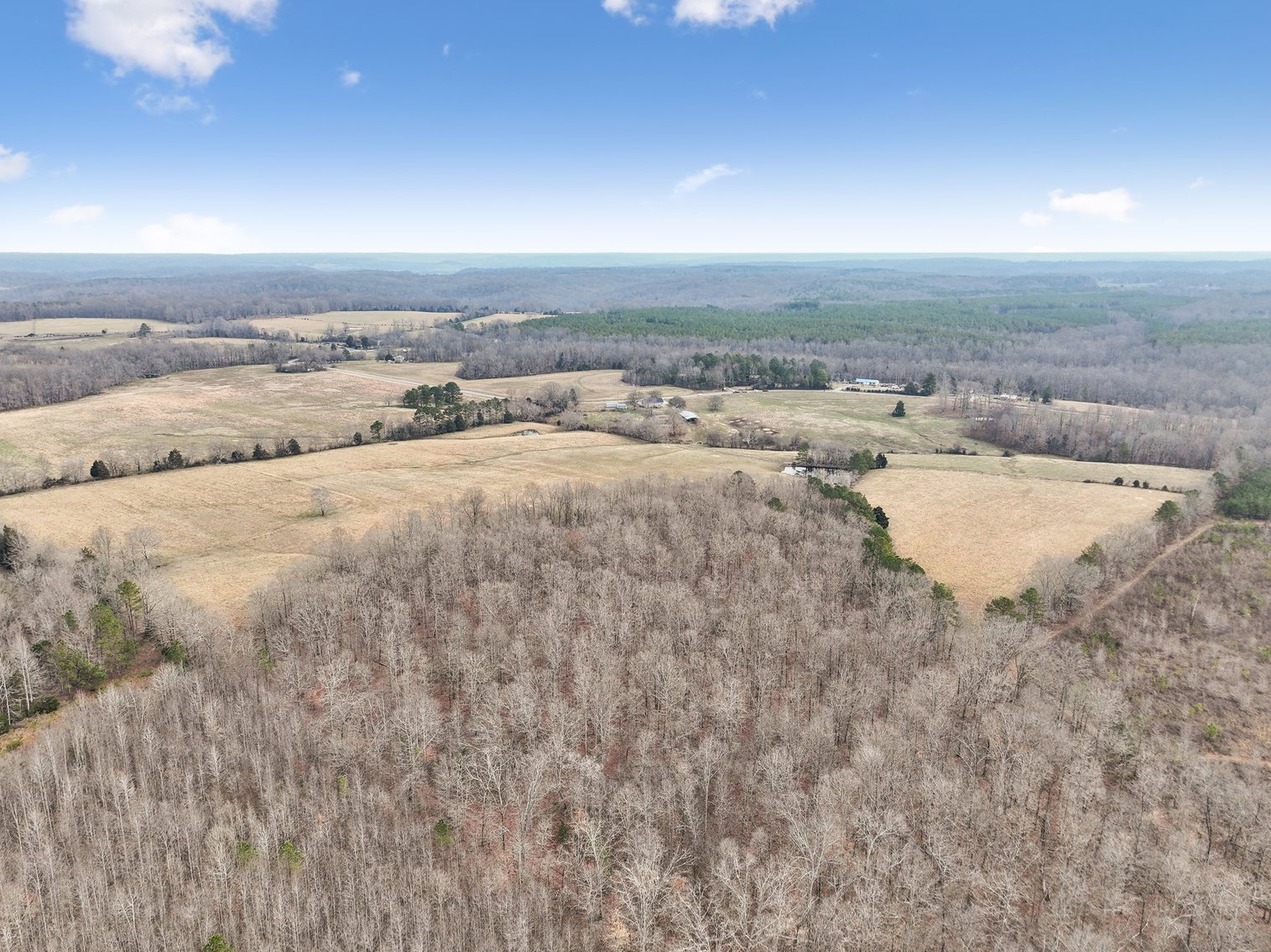 Image for 0 Lee Chapman Road, Pulaski