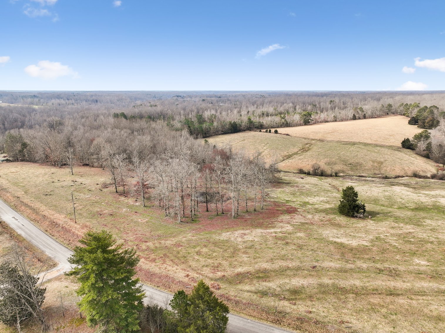 Image for 0 Lee Chapman Road, Pulaski