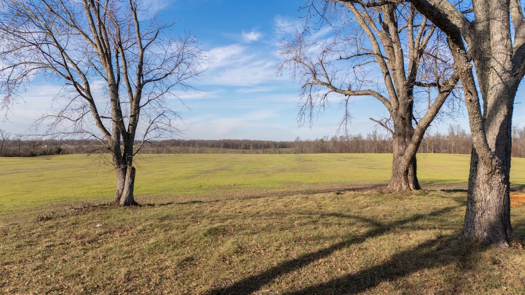 Image for Jacksboro Trail, Morrison