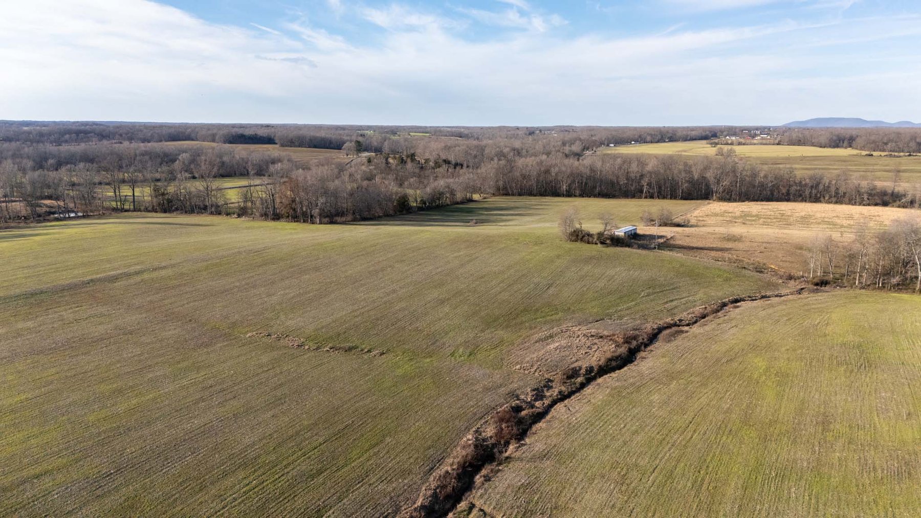 Image for Jacksboro Trail, Morrison