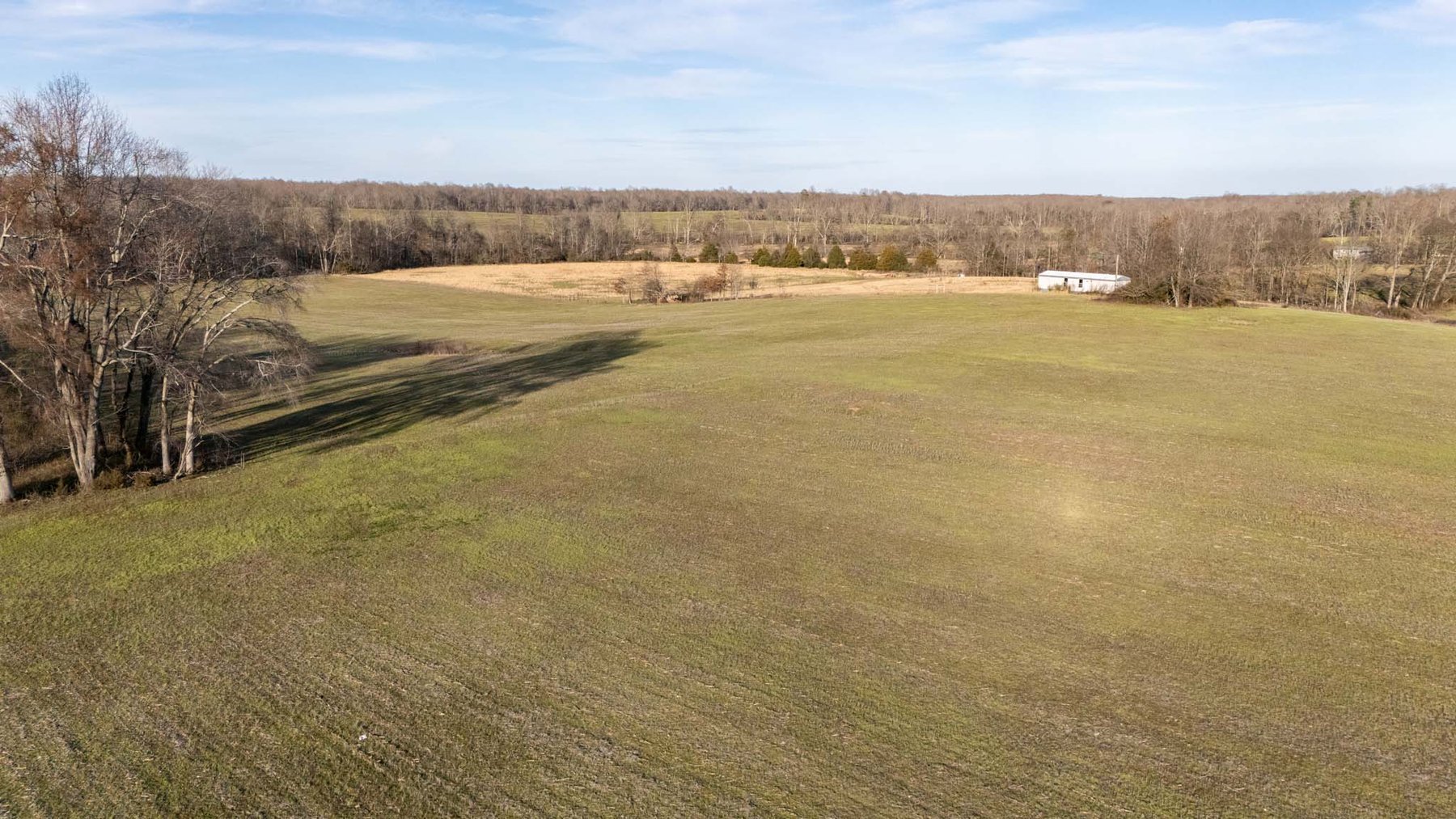 Image for Jacksboro Trail, Morrison