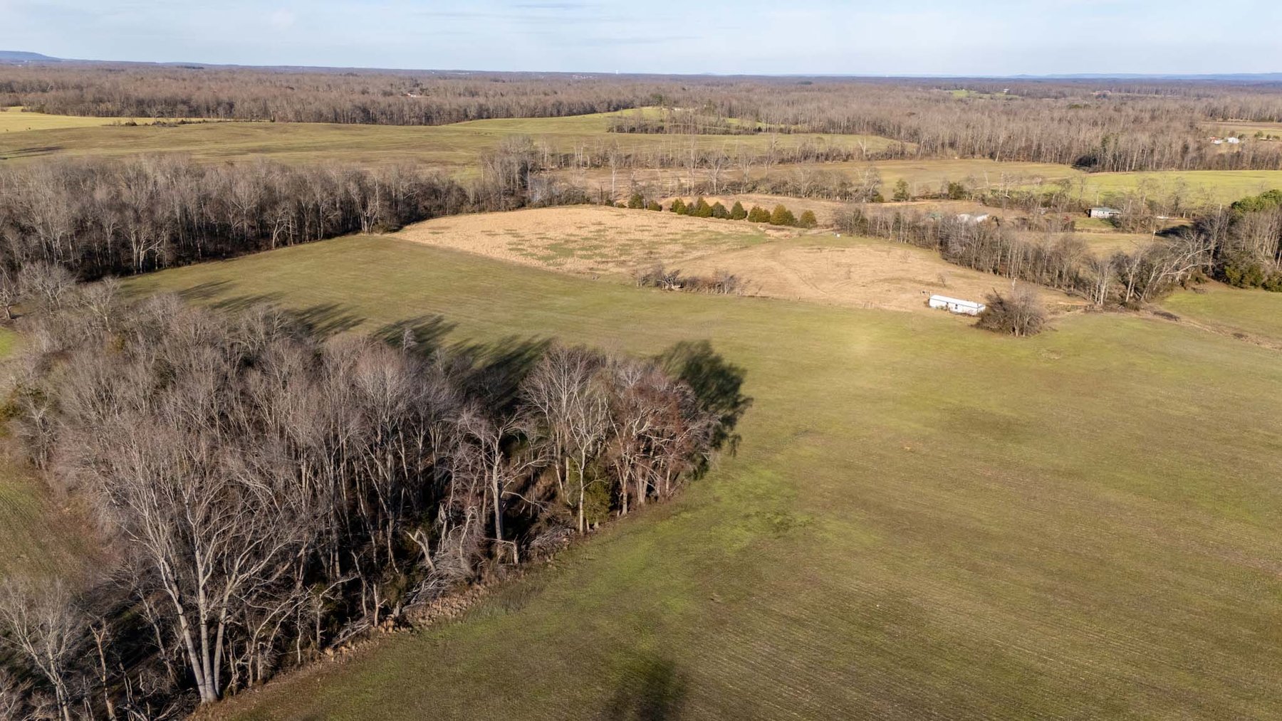 Image for Jacksboro Trail, Morrison