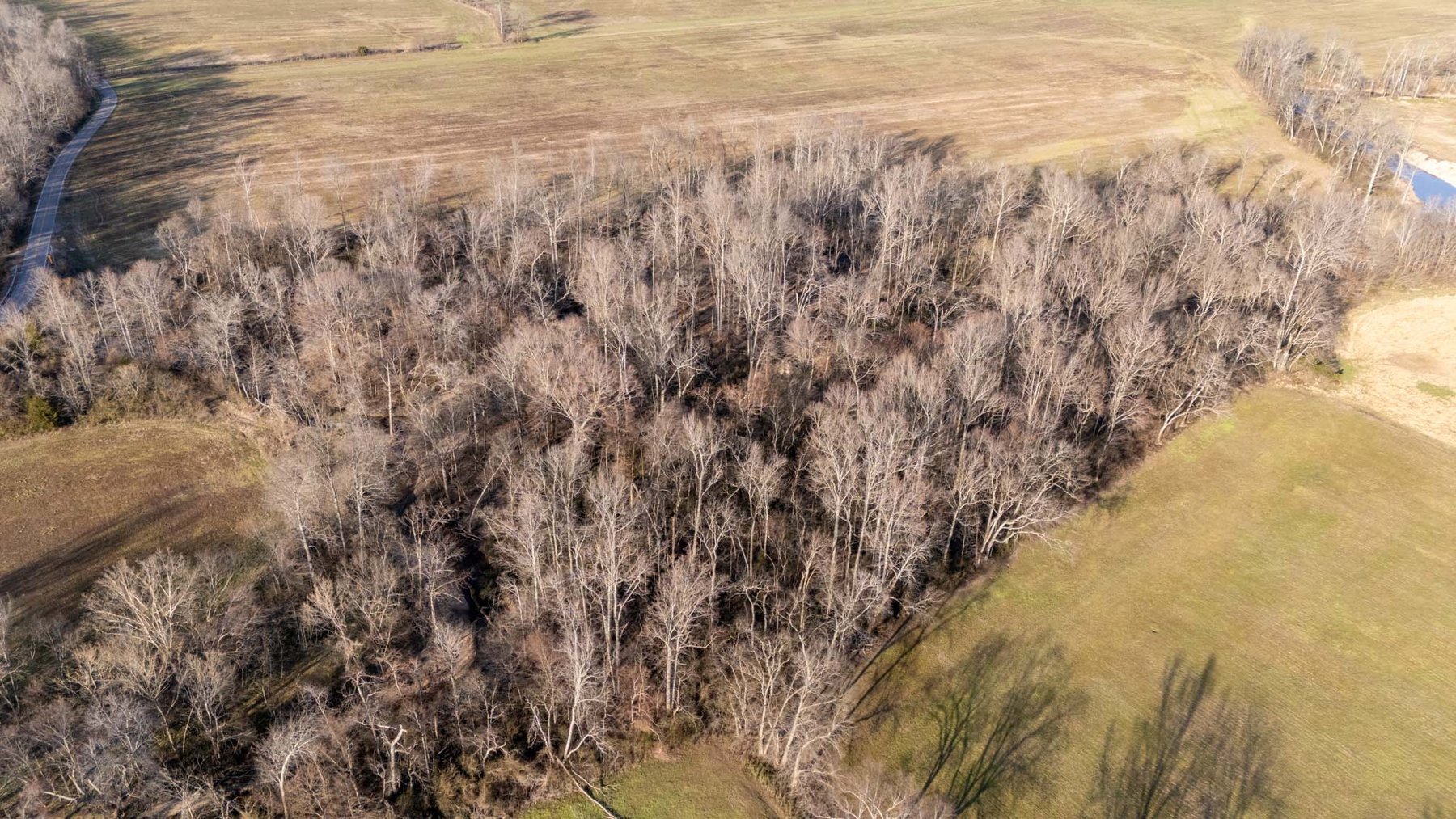 Image for Jacksboro Trail, Morrison