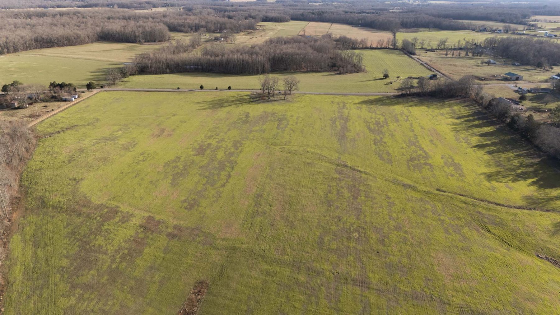 Image for Jacksboro Trail, Morrison