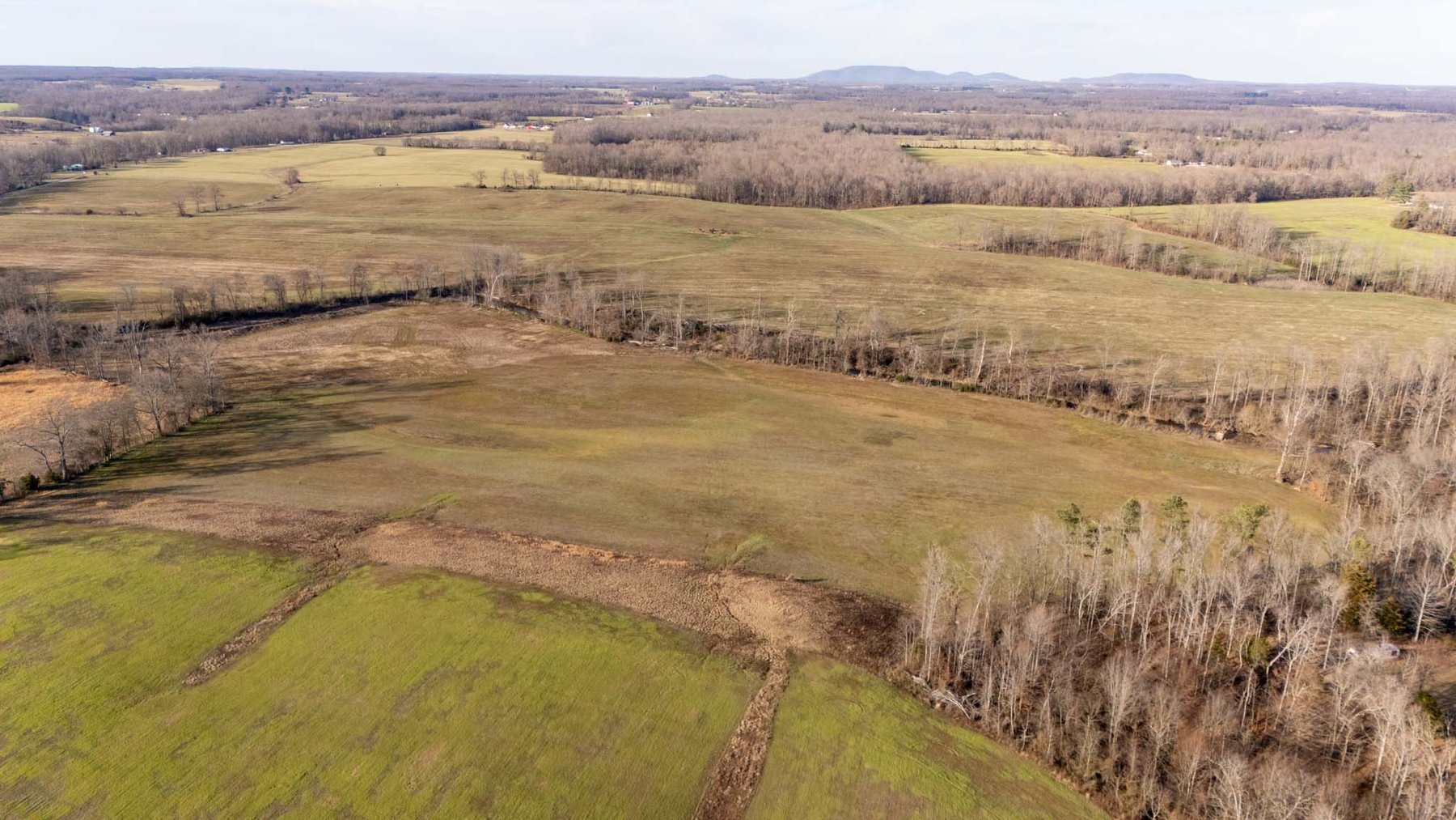 Image for Jacksboro Trail, Morrison