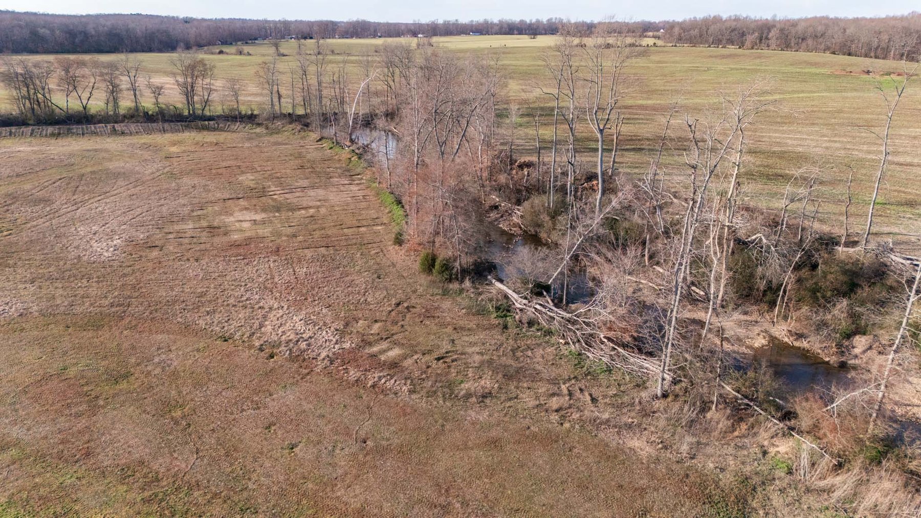 Image for Jacksboro Trail, Morrison