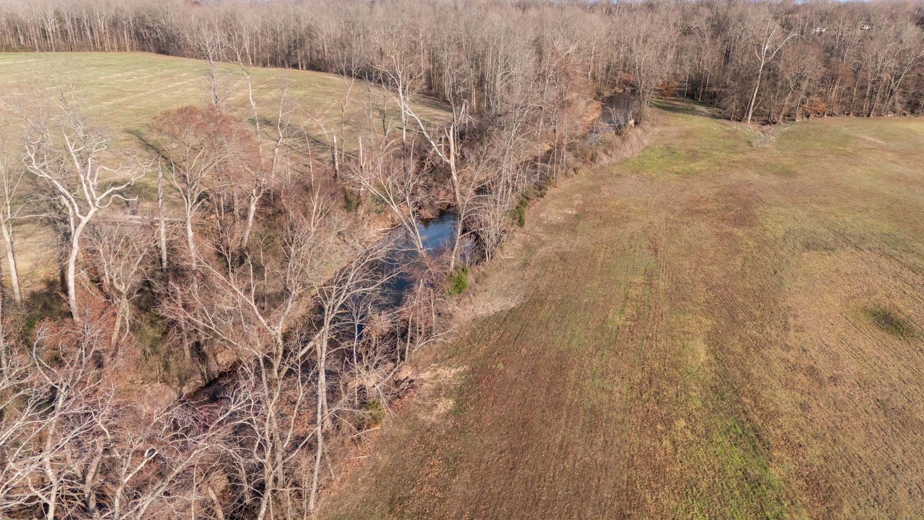 Image for Jacksboro Trail, Morrison