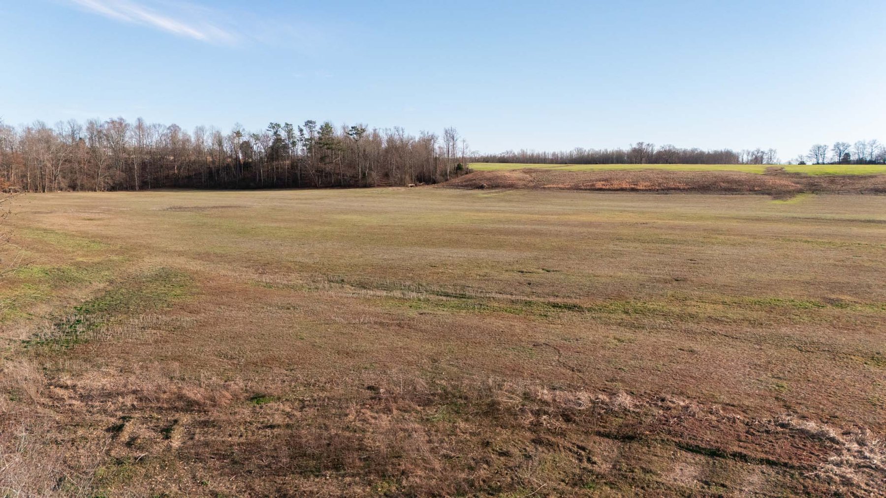 Image for Jacksboro Trail, Morrison