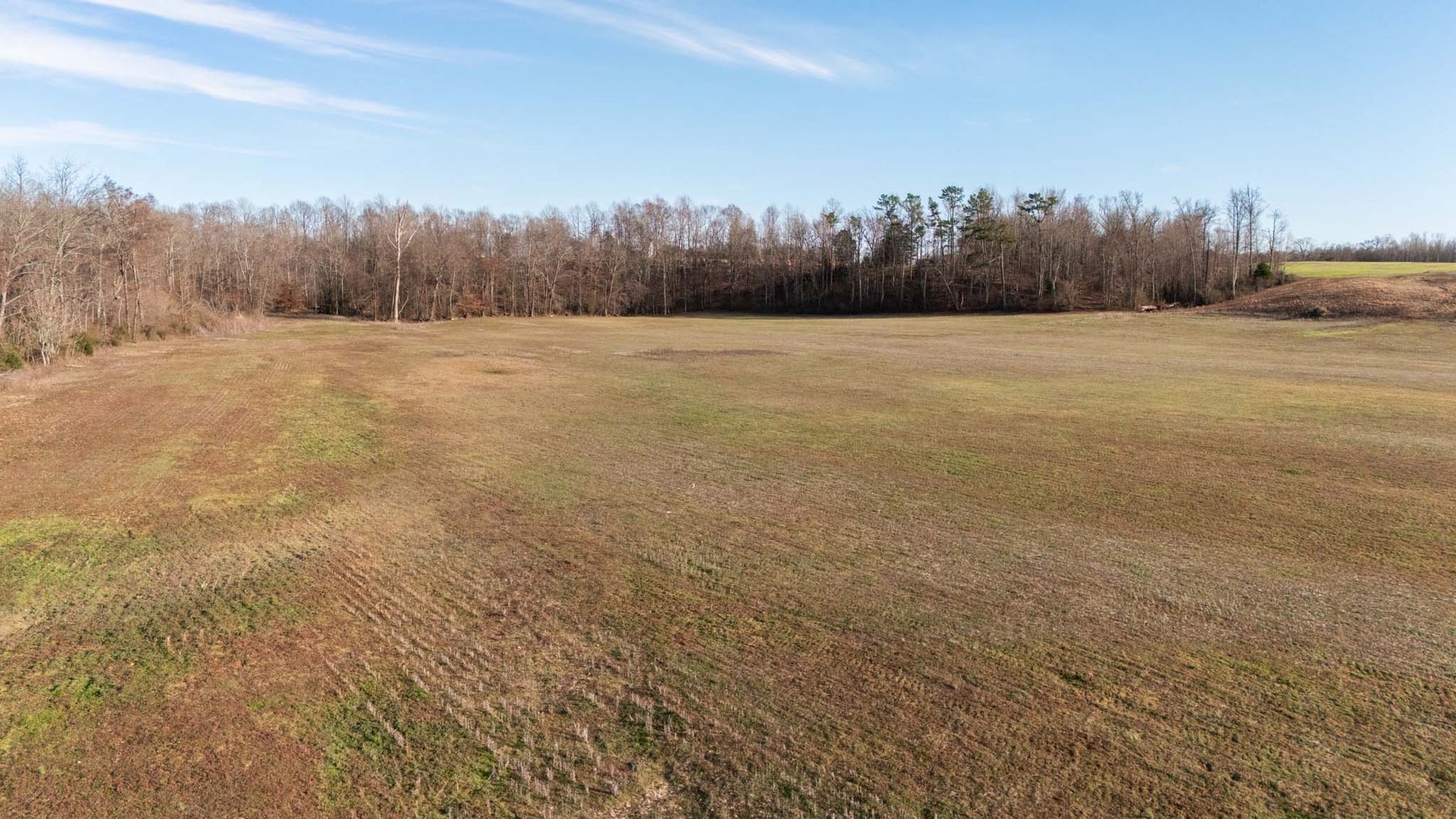 Image for Jacksboro Trail, Morrison