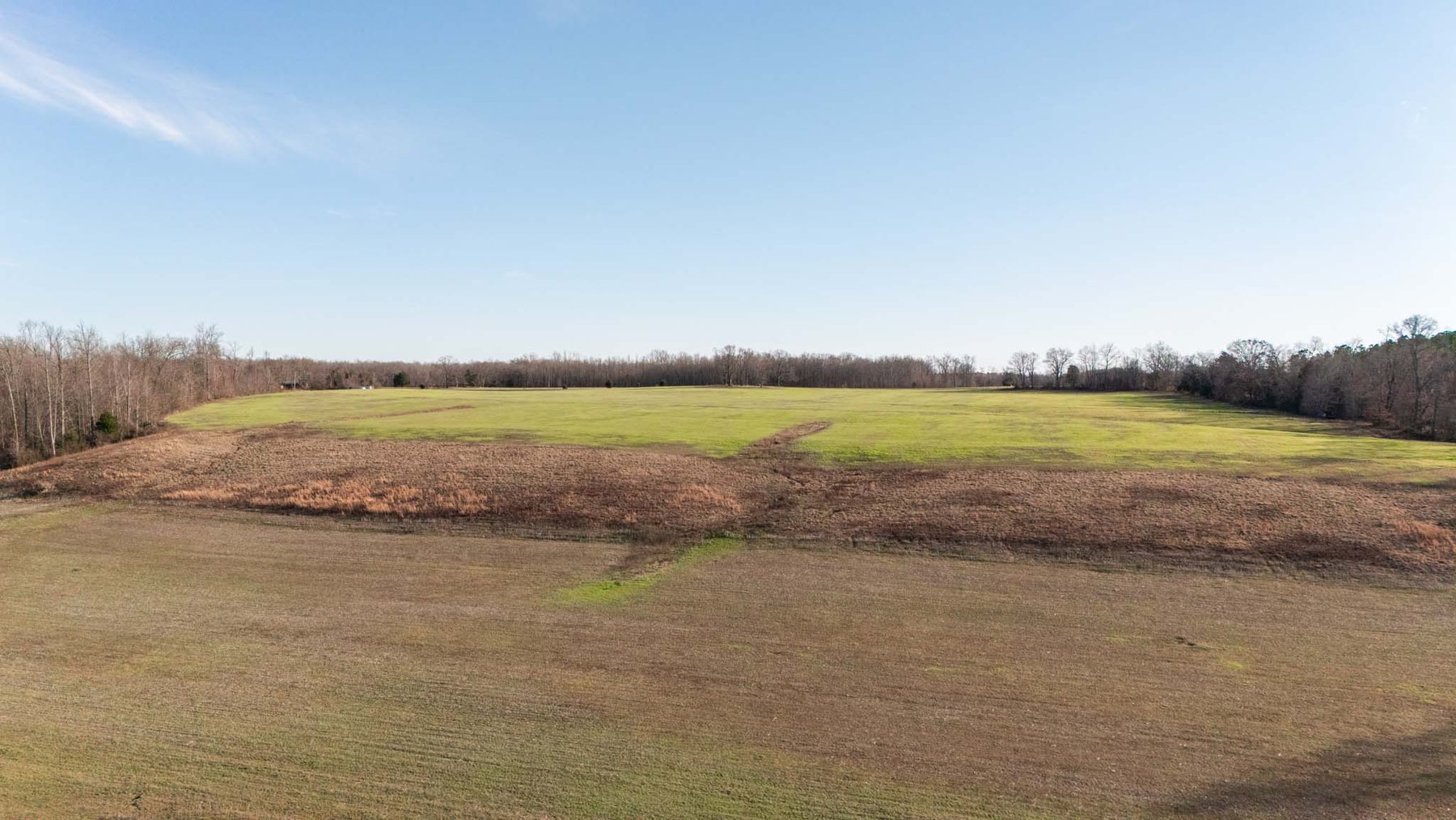 Image for Jacksboro Trail, Morrison