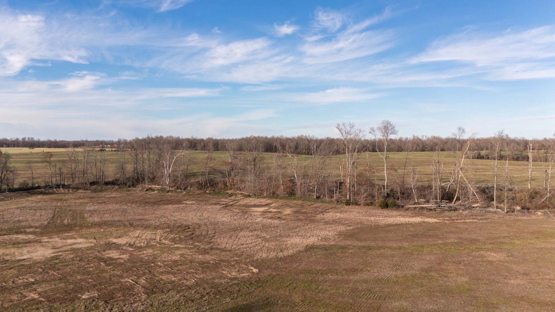 Image for Jacksboro Trail, Morrison