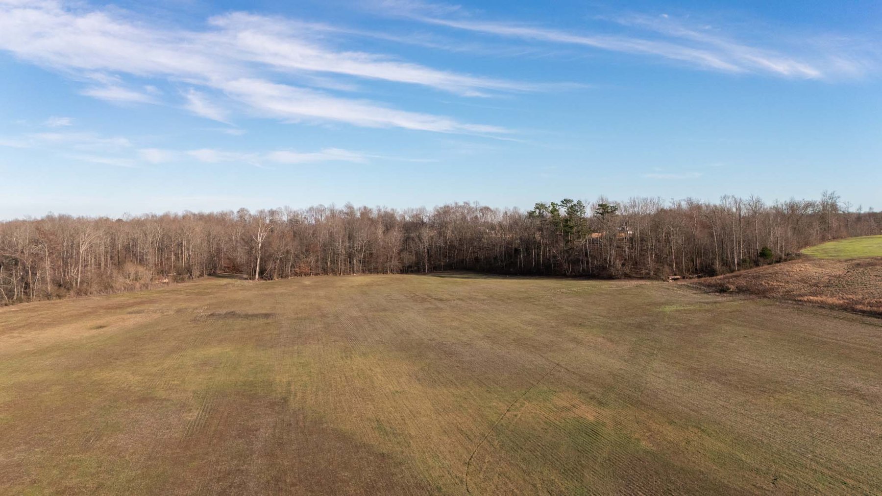 Image for Jacksboro Trail, Morrison