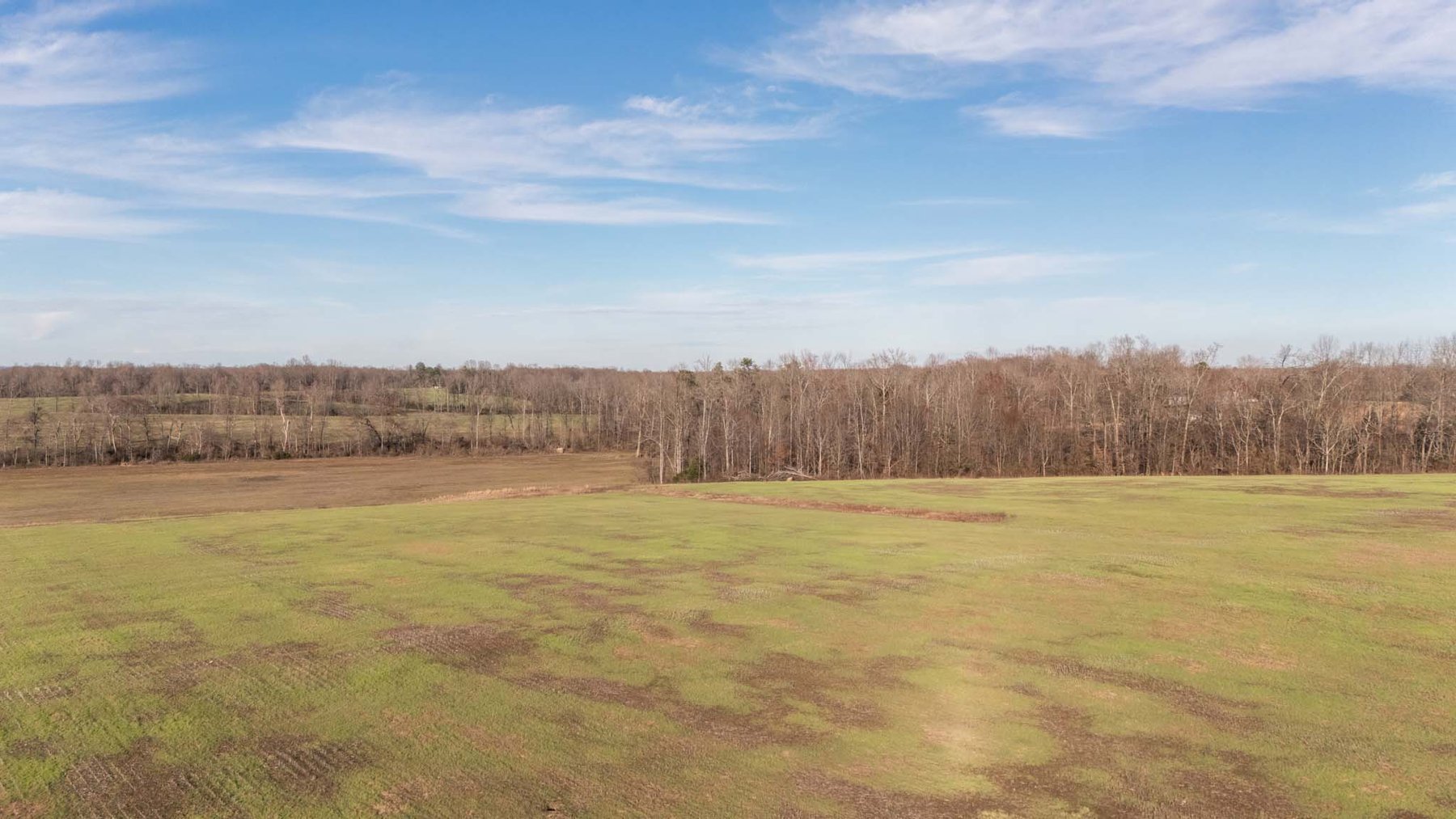 Image for Jacksboro Trail, Morrison