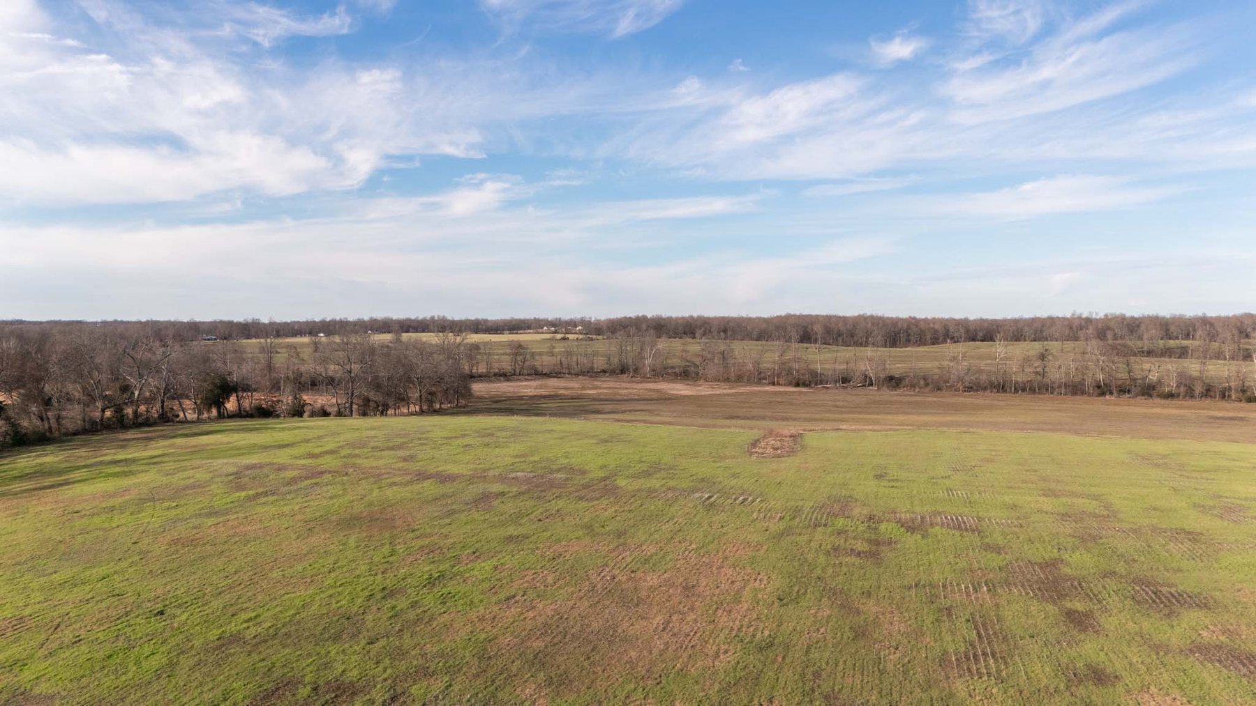 Image for Jacksboro Trail, Morrison