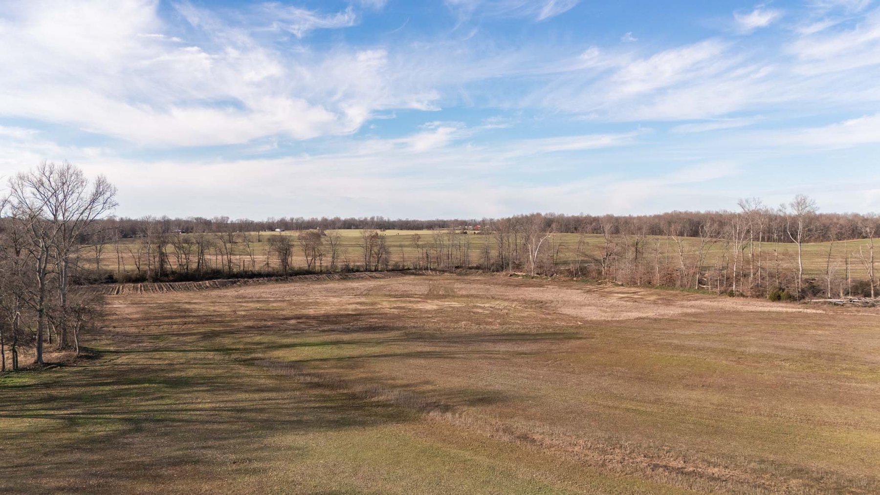 Image for Jacksboro Trail, Morrison