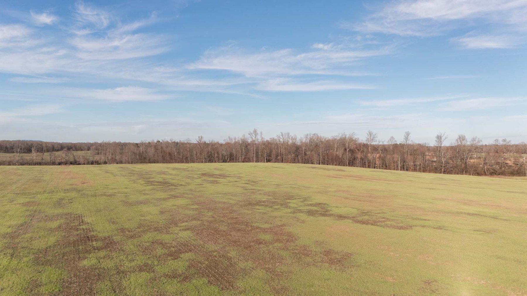 Image for Jacksboro Trail, Morrison