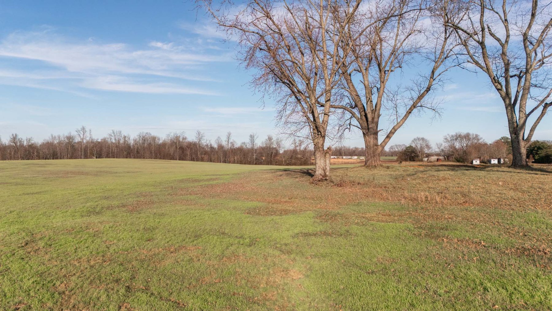 Image for Jacksboro Trail, Morrison