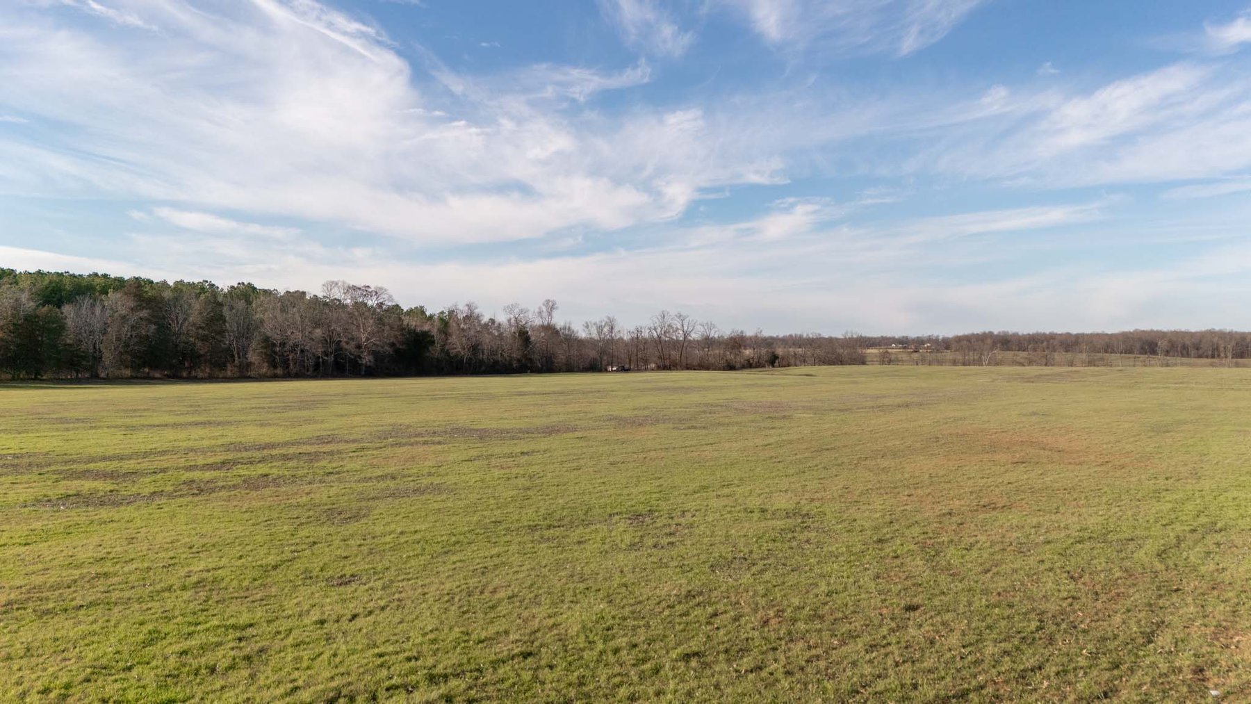 Image for Jacksboro Trail, Morrison