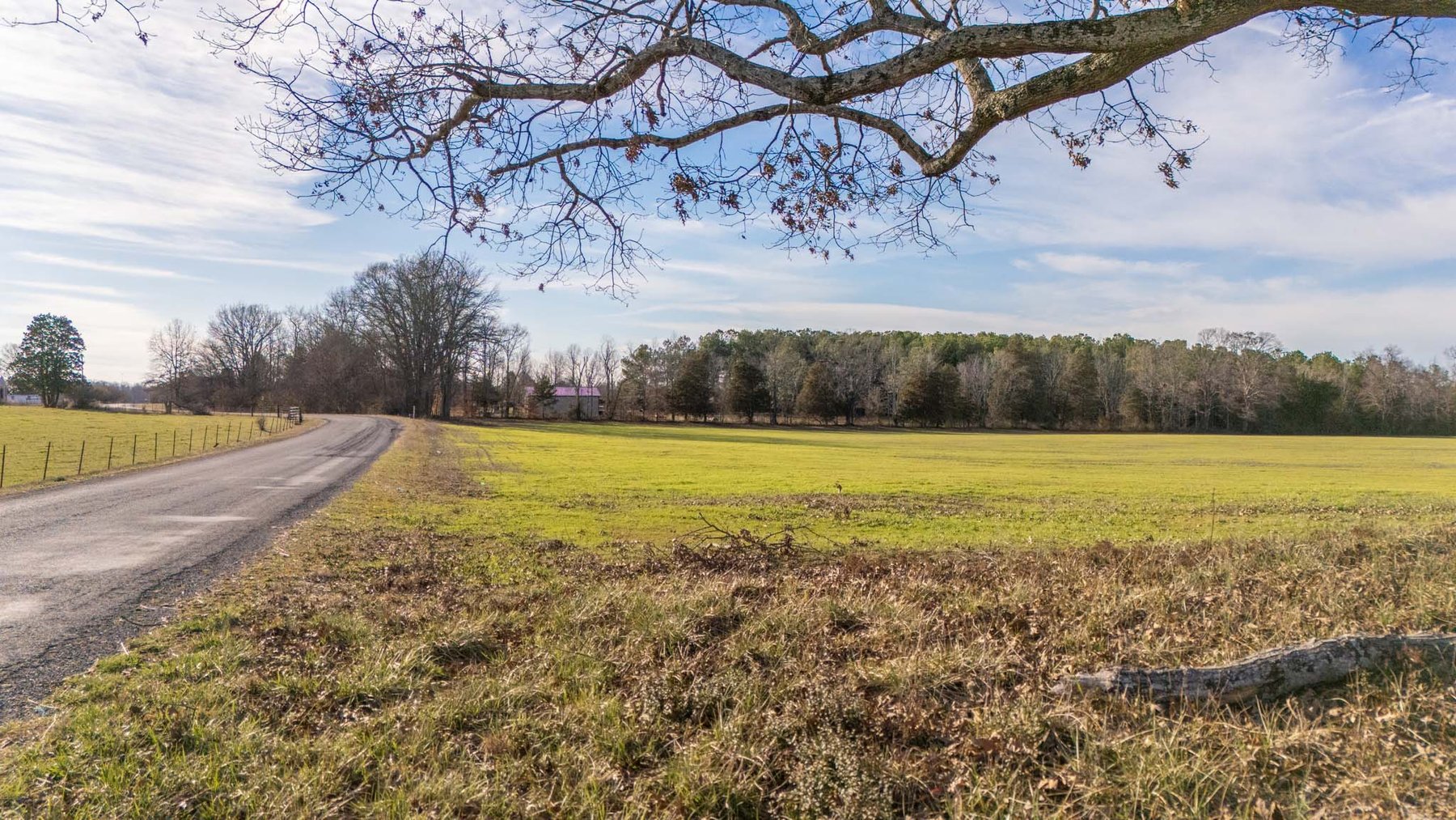 Image for Jacksboro Trail, Morrison