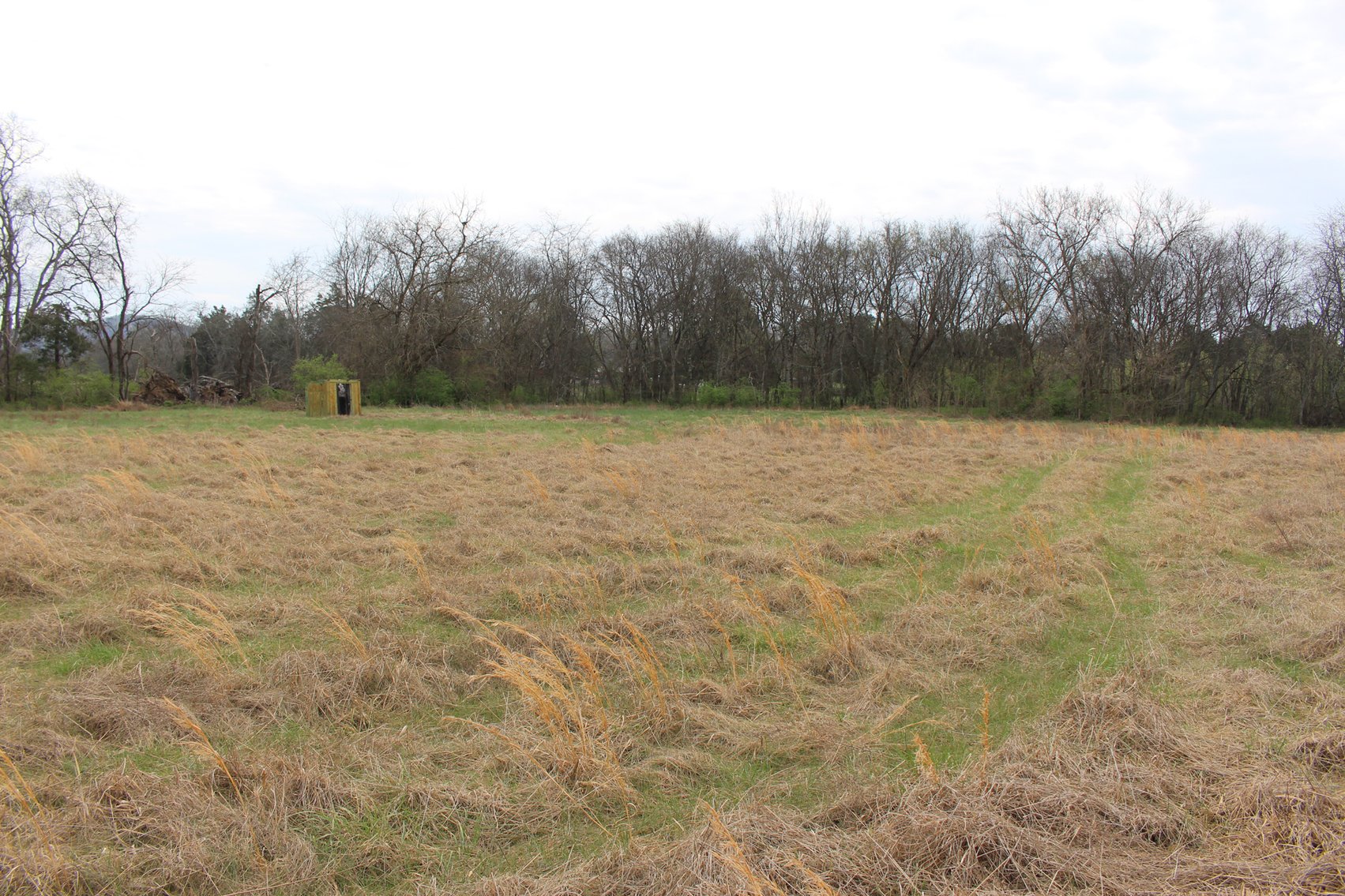 Image for 10963 Highway 99, Rockvale