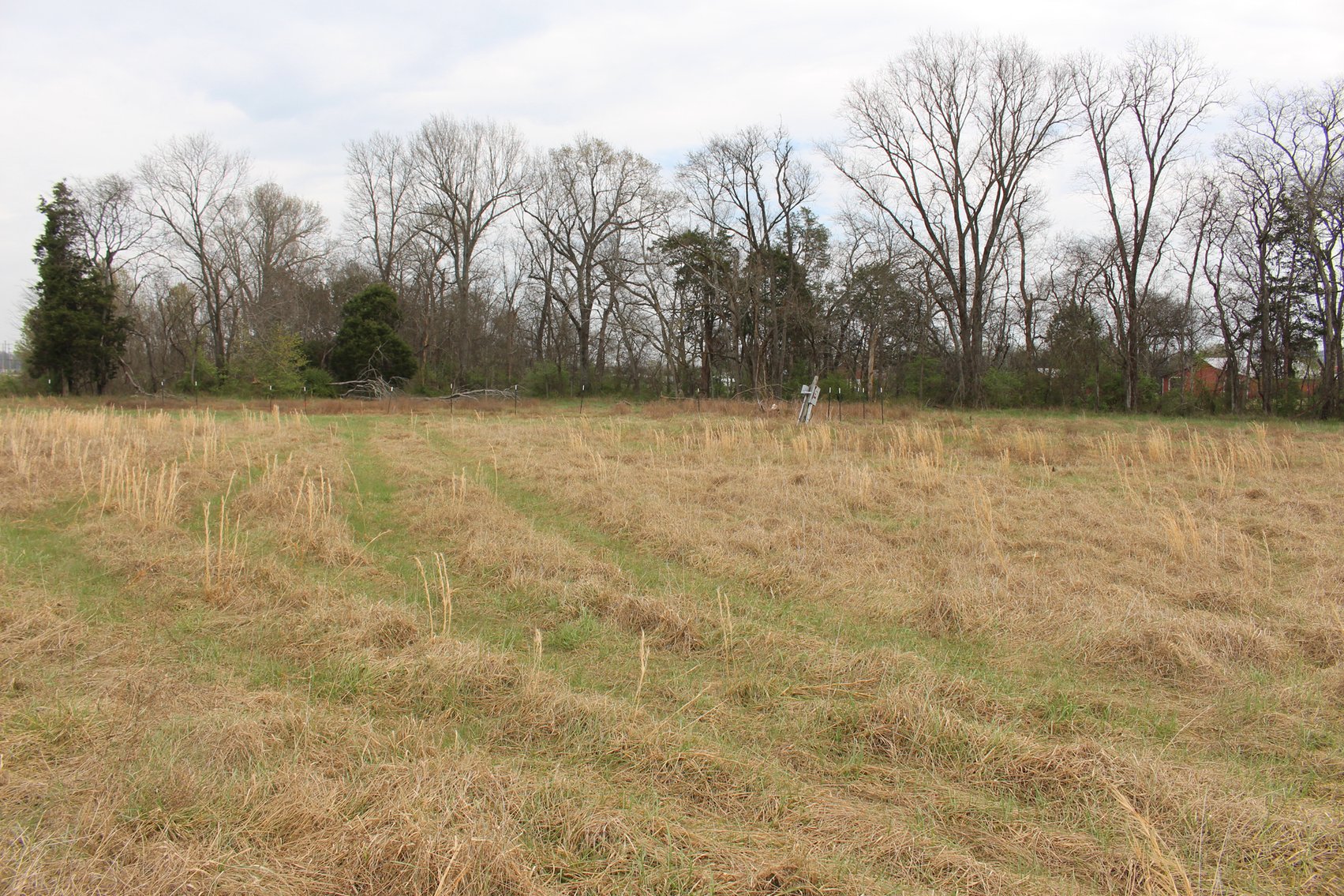 Image for 10963 Highway 99, Rockvale