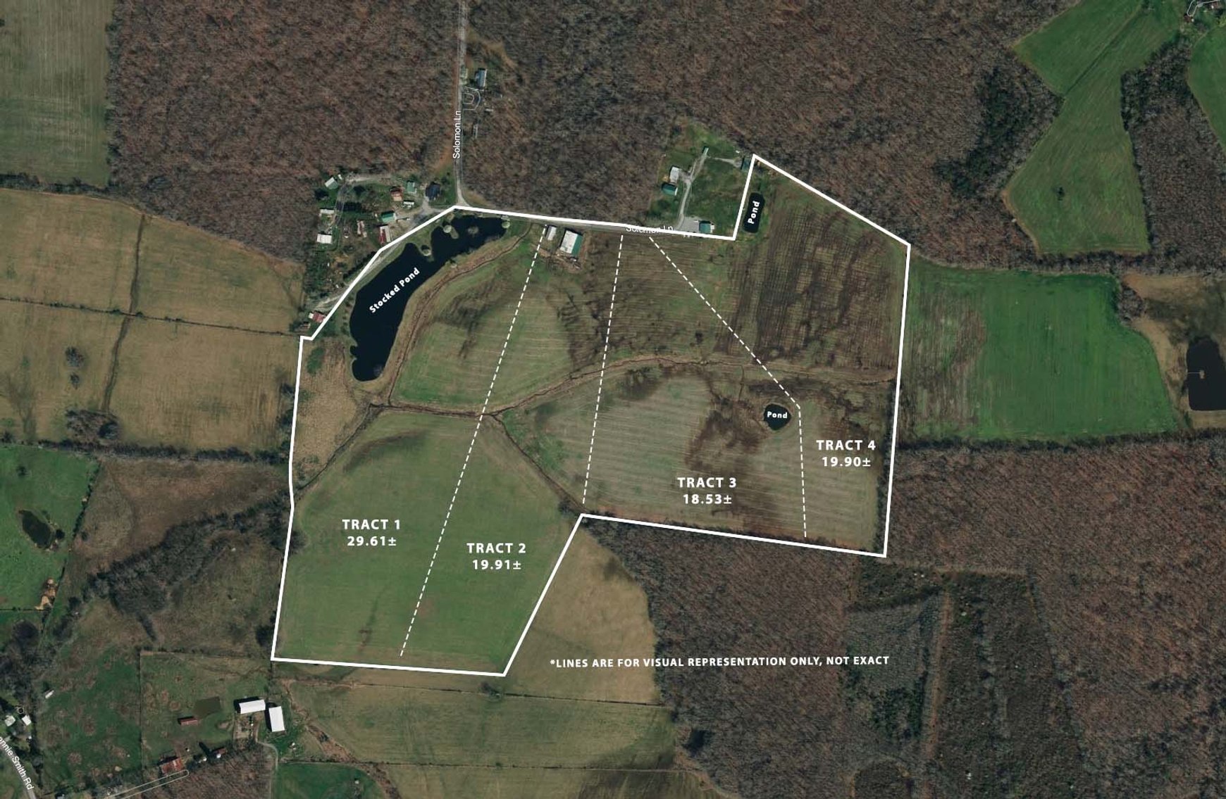 Image for Solomon Lane, Woodbury