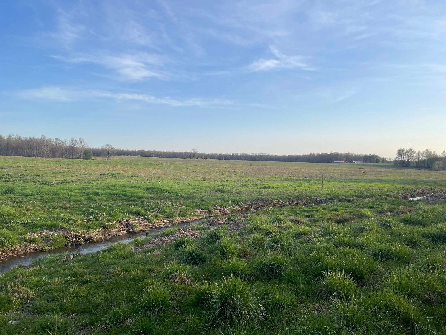 Image for Solomon Lane, Woodbury