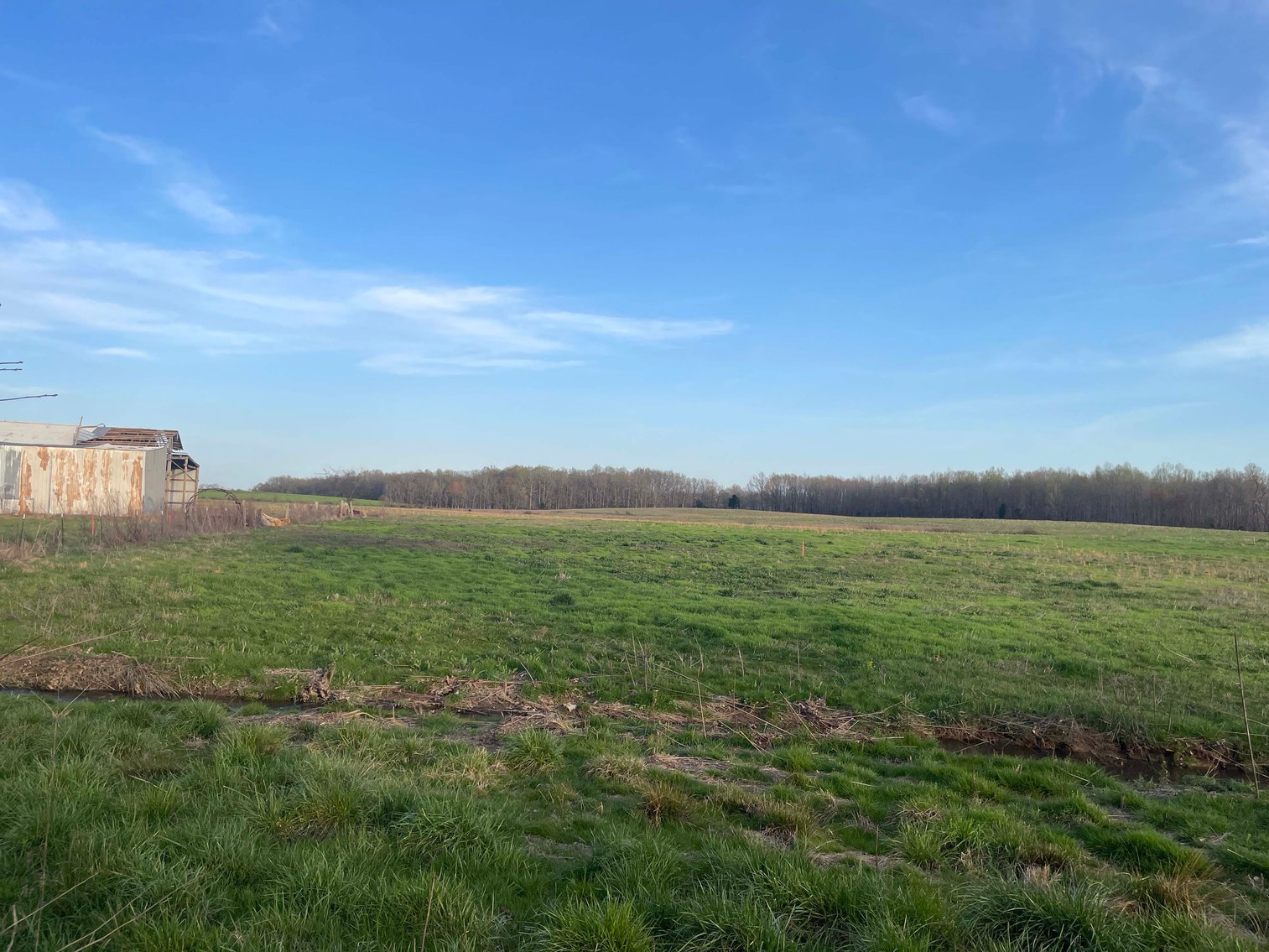 Image for Solomon Lane, Woodbury