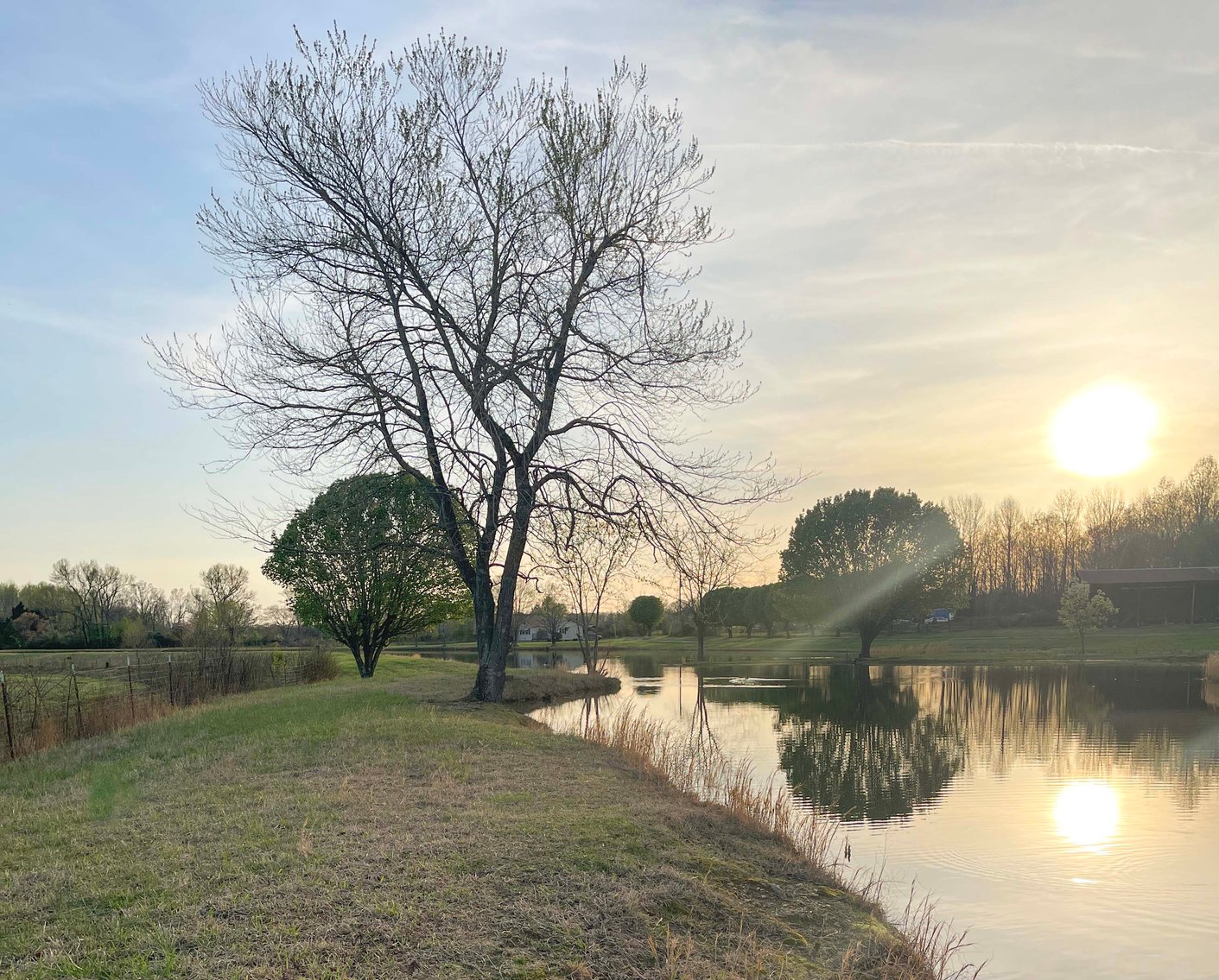 Image for Solomon Lane, Woodbury