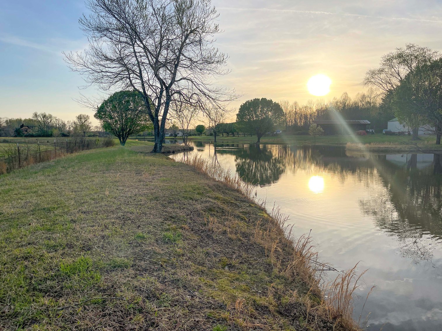 Image for Solomon Lane, Woodbury