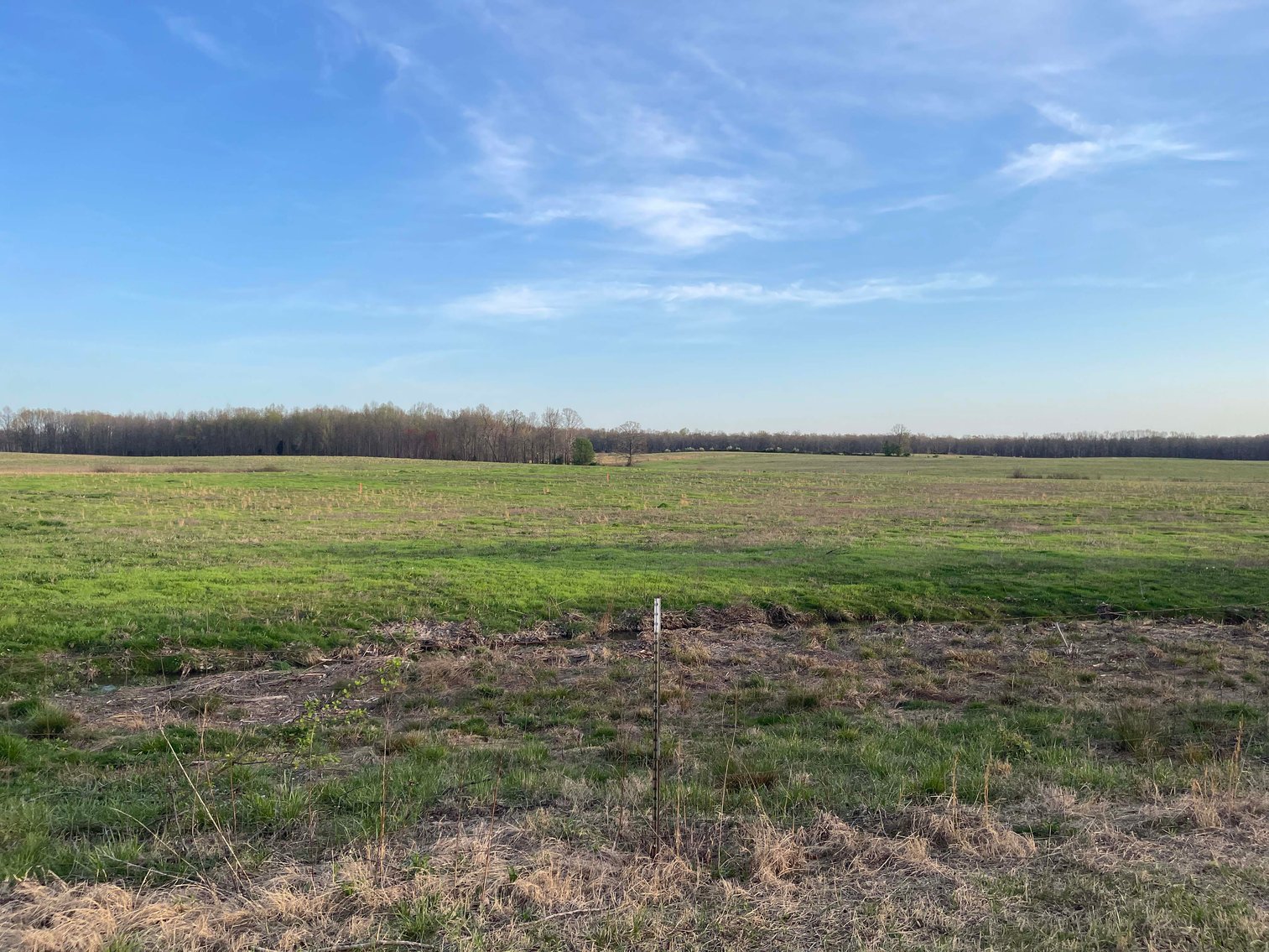 Image for Solomon Lane, Woodbury