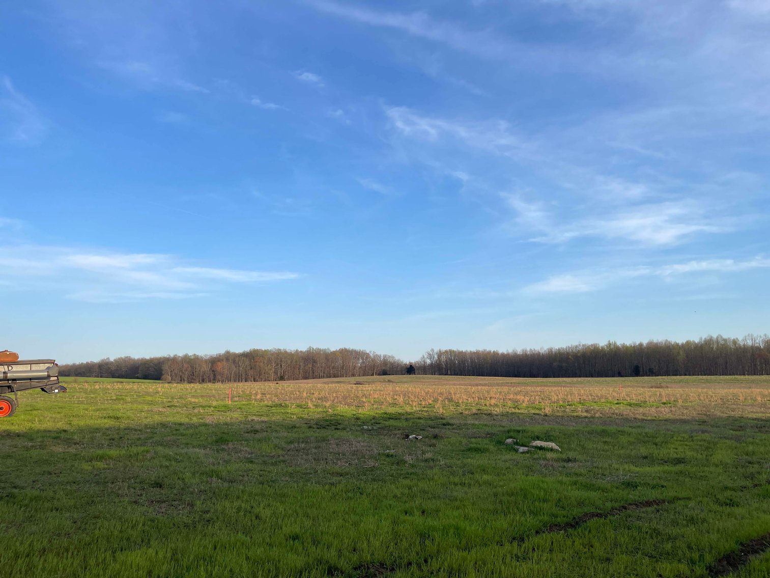 Image for Solomon Lane, Woodbury