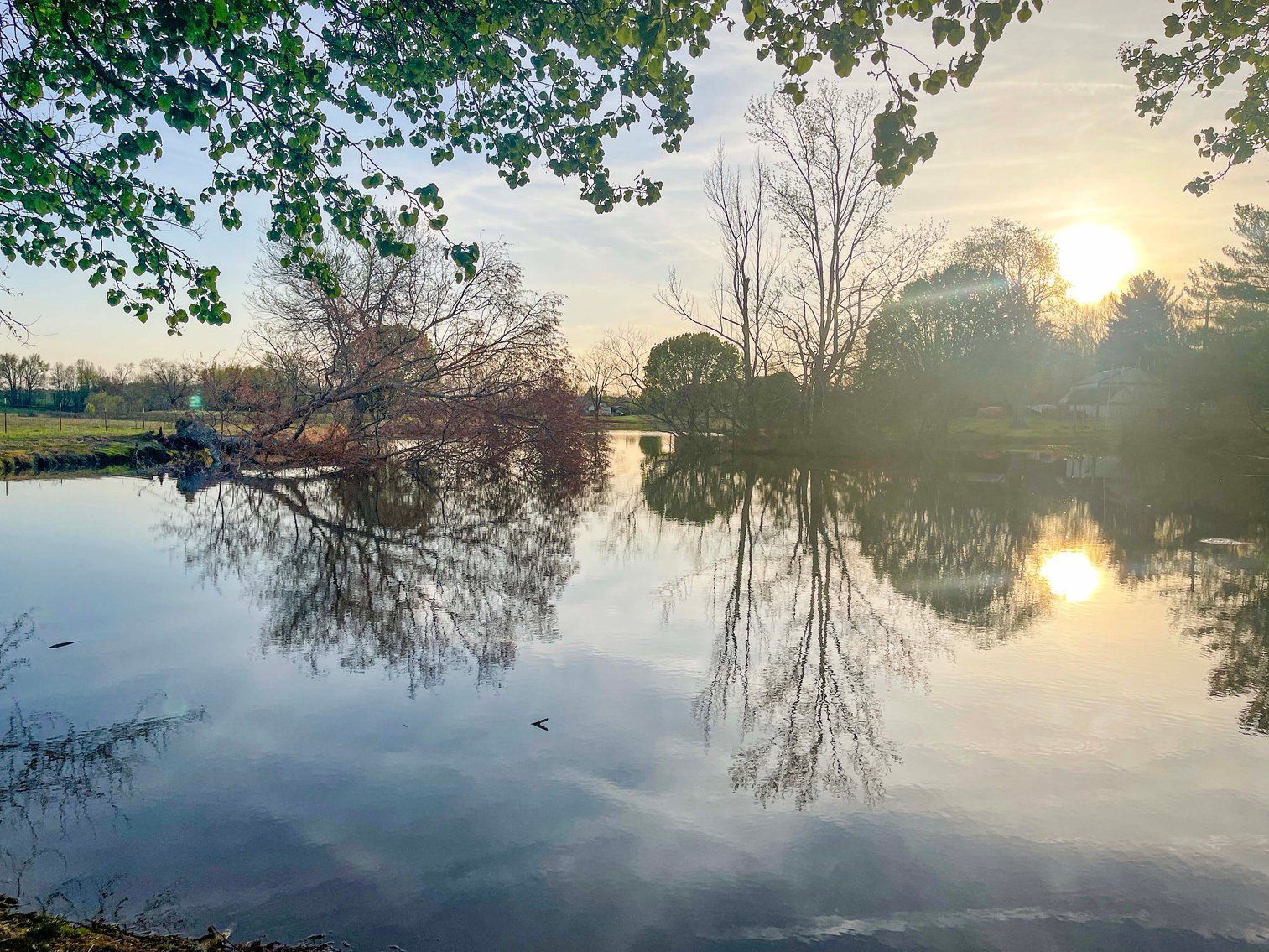 Image for Solomon Lane, Woodbury