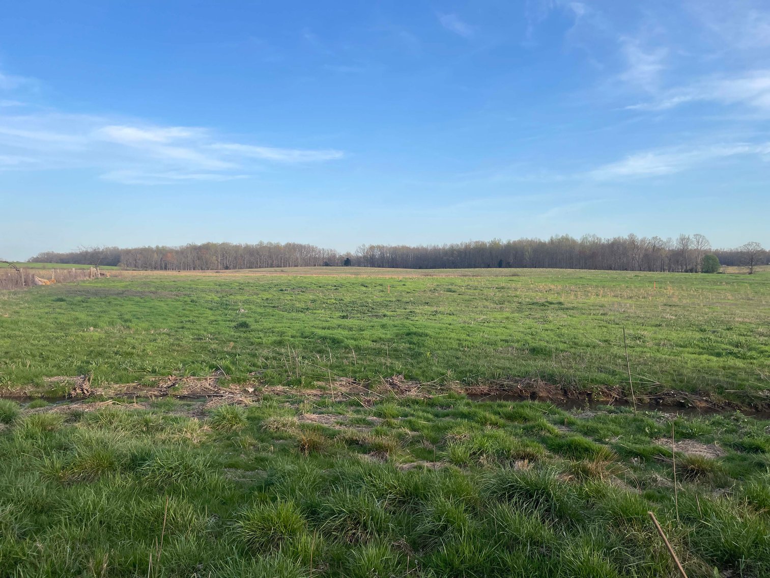 Image for Solomon Lane, Woodbury