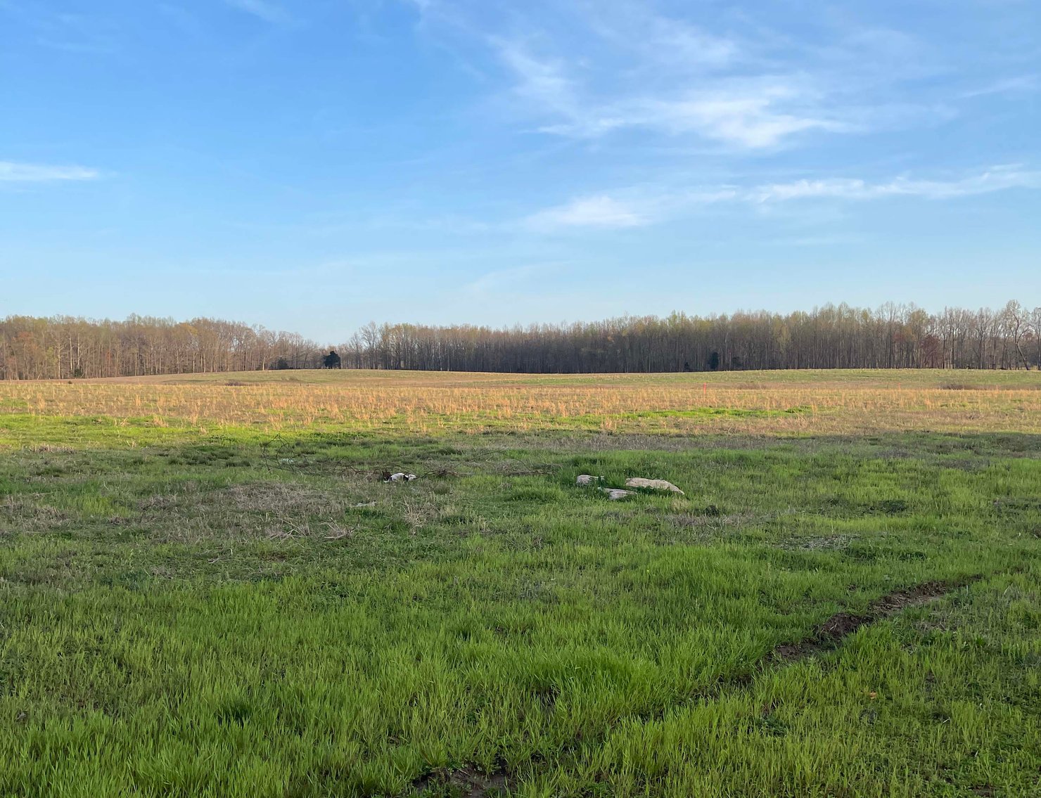 Image for Solomon Lane, Woodbury