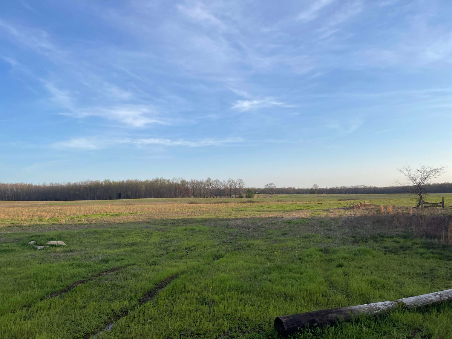 Image for Solomon Lane, Woodbury