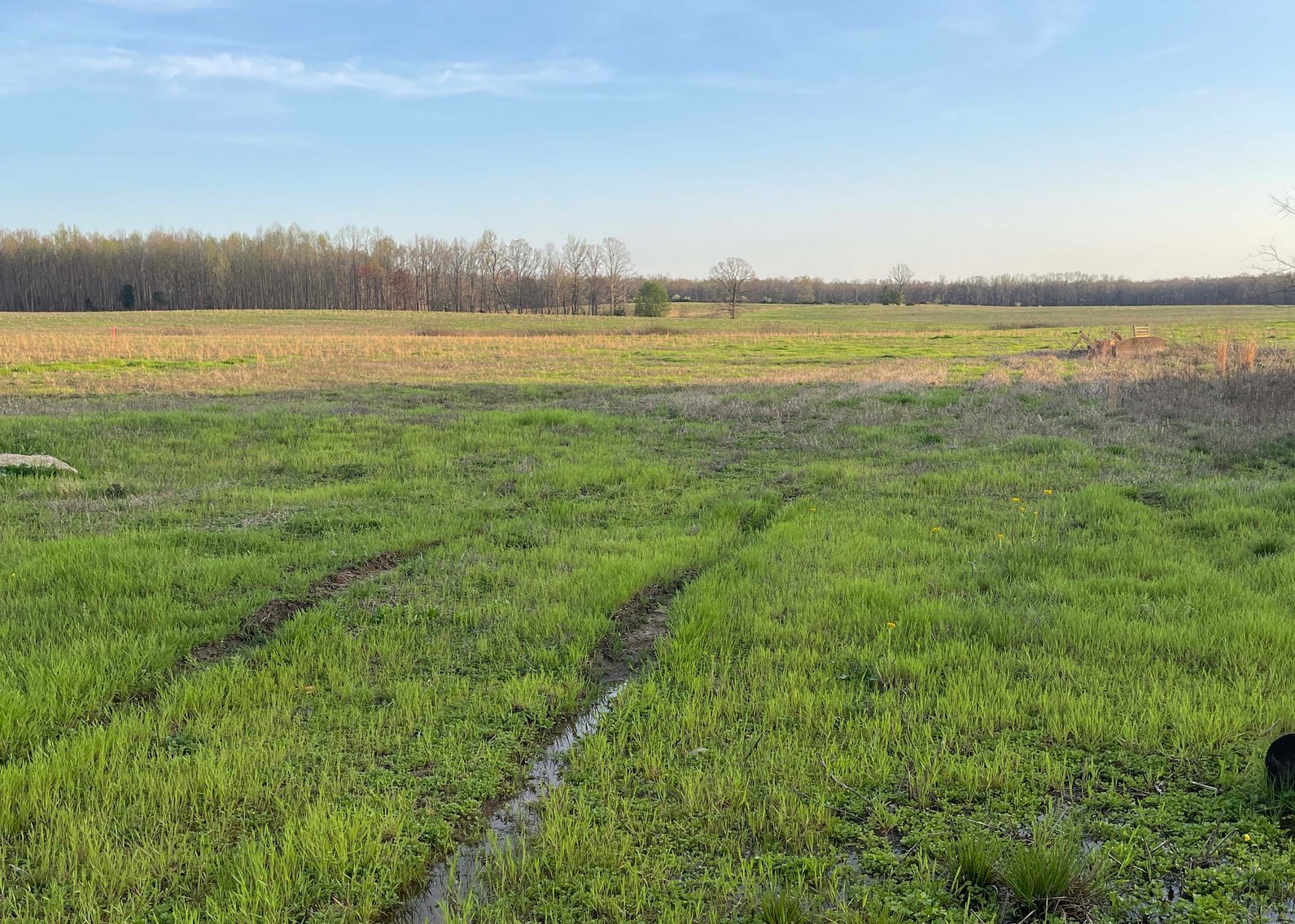 Image for Solomon Lane, Woodbury